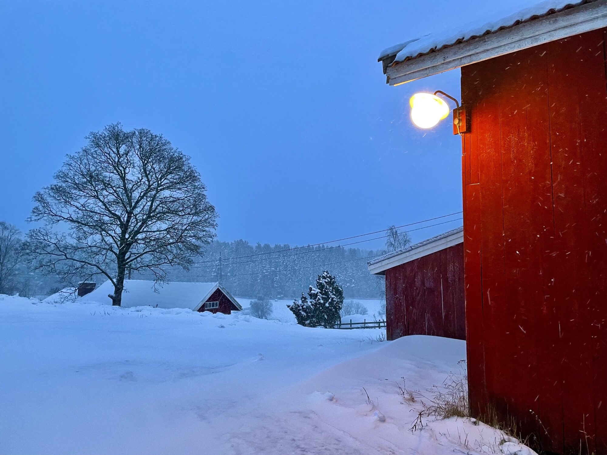 Valokuvaaja: Juhani Peltonen