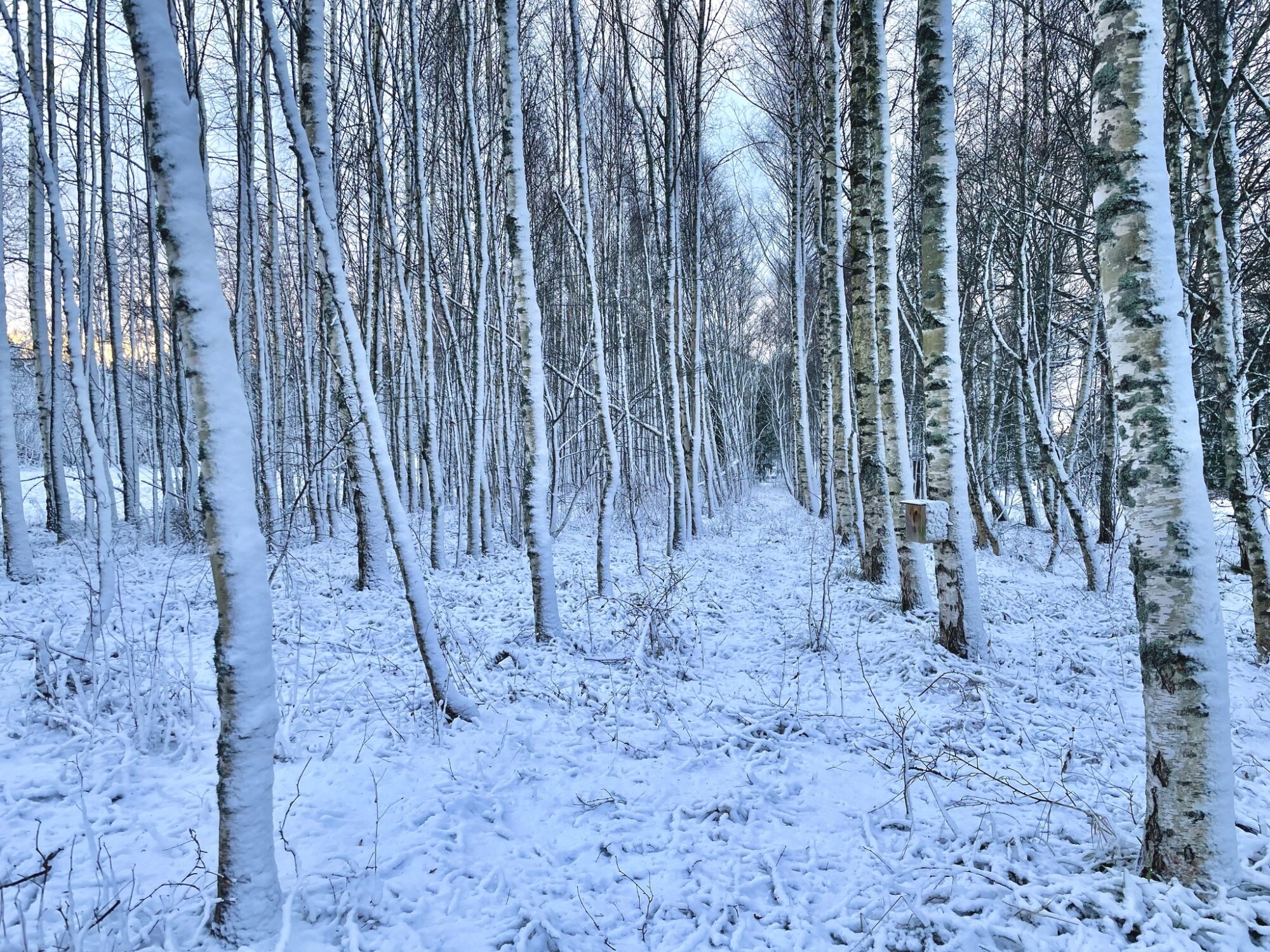 Valokuvaaja: Juhani Peltonen