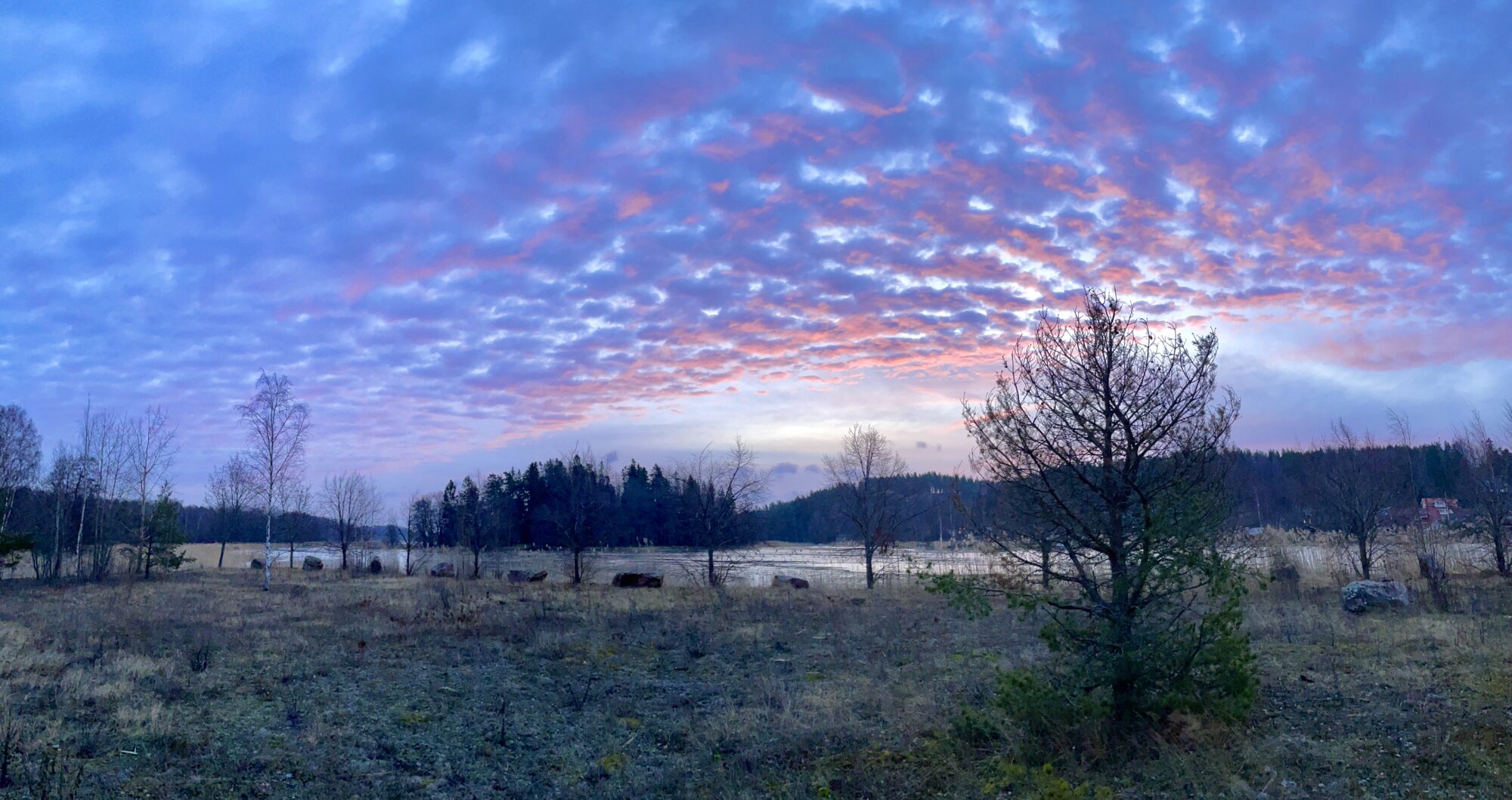 Valokuvaaja: Juhani Peltonen