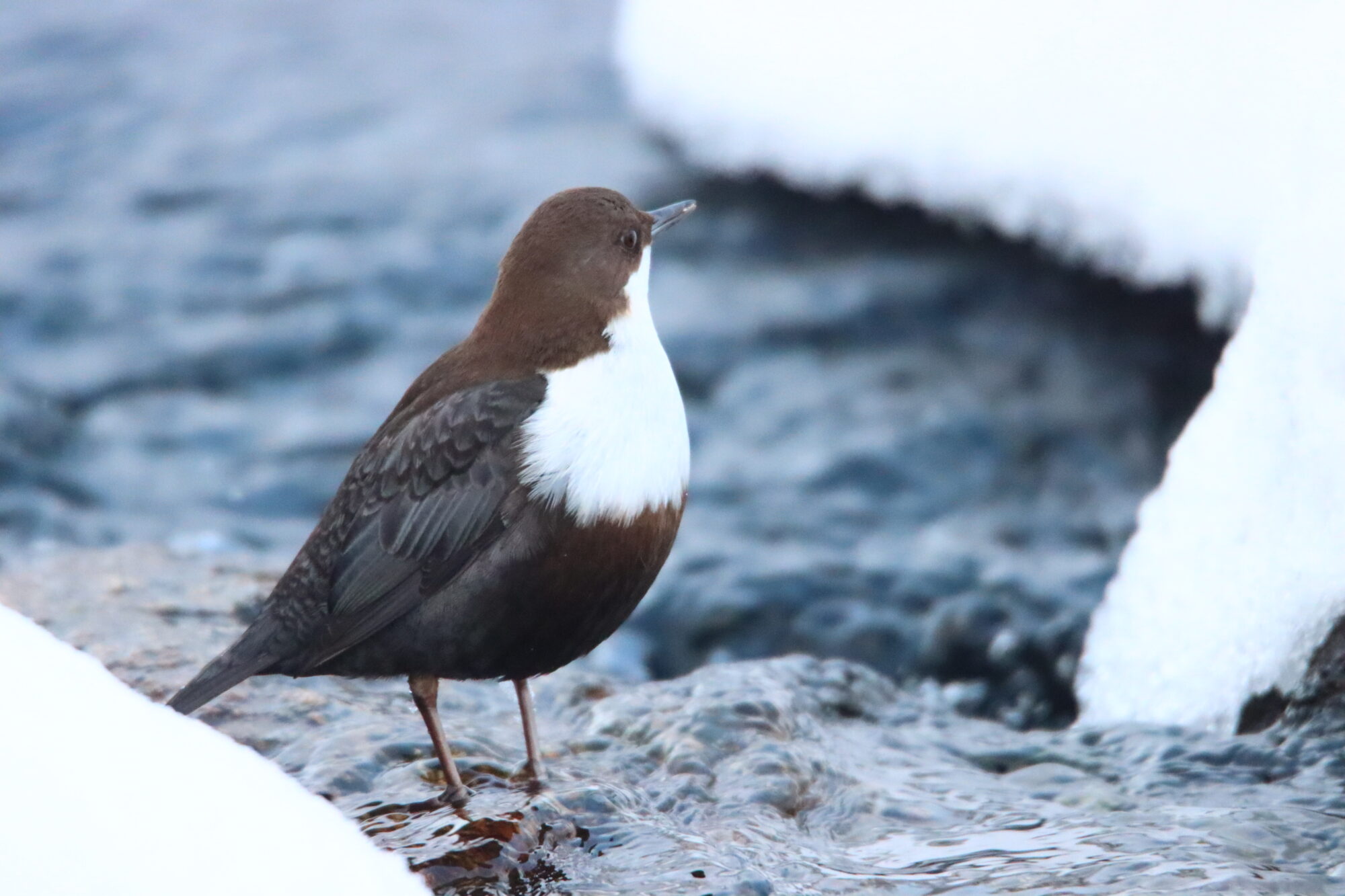 Valokuvaaja: Irja Lehtinen