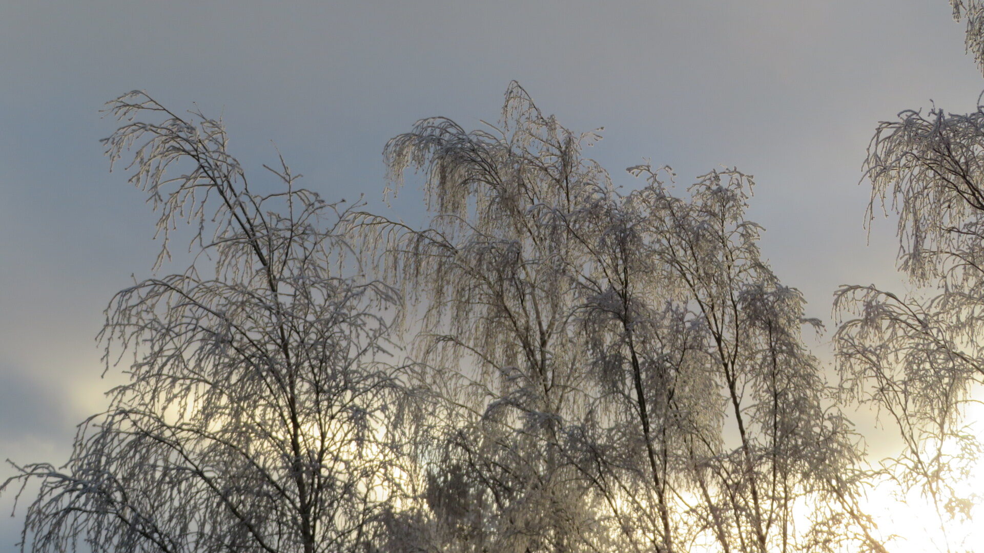 Valokuvaaja: Risto Kangassalo Valokuvaaja: Risto Kangassalo