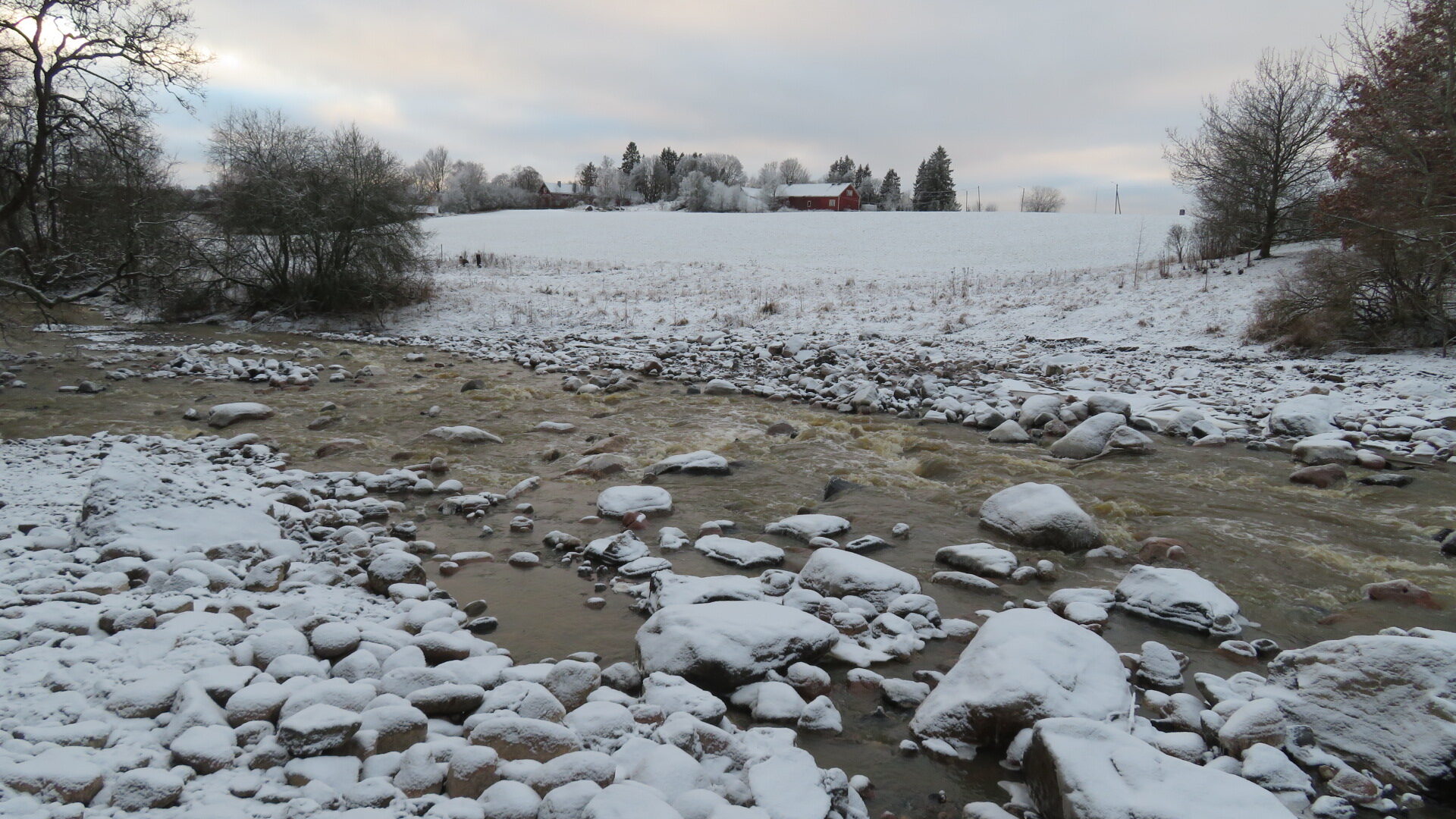 Valokuvaaja: Risto Kangassalo
