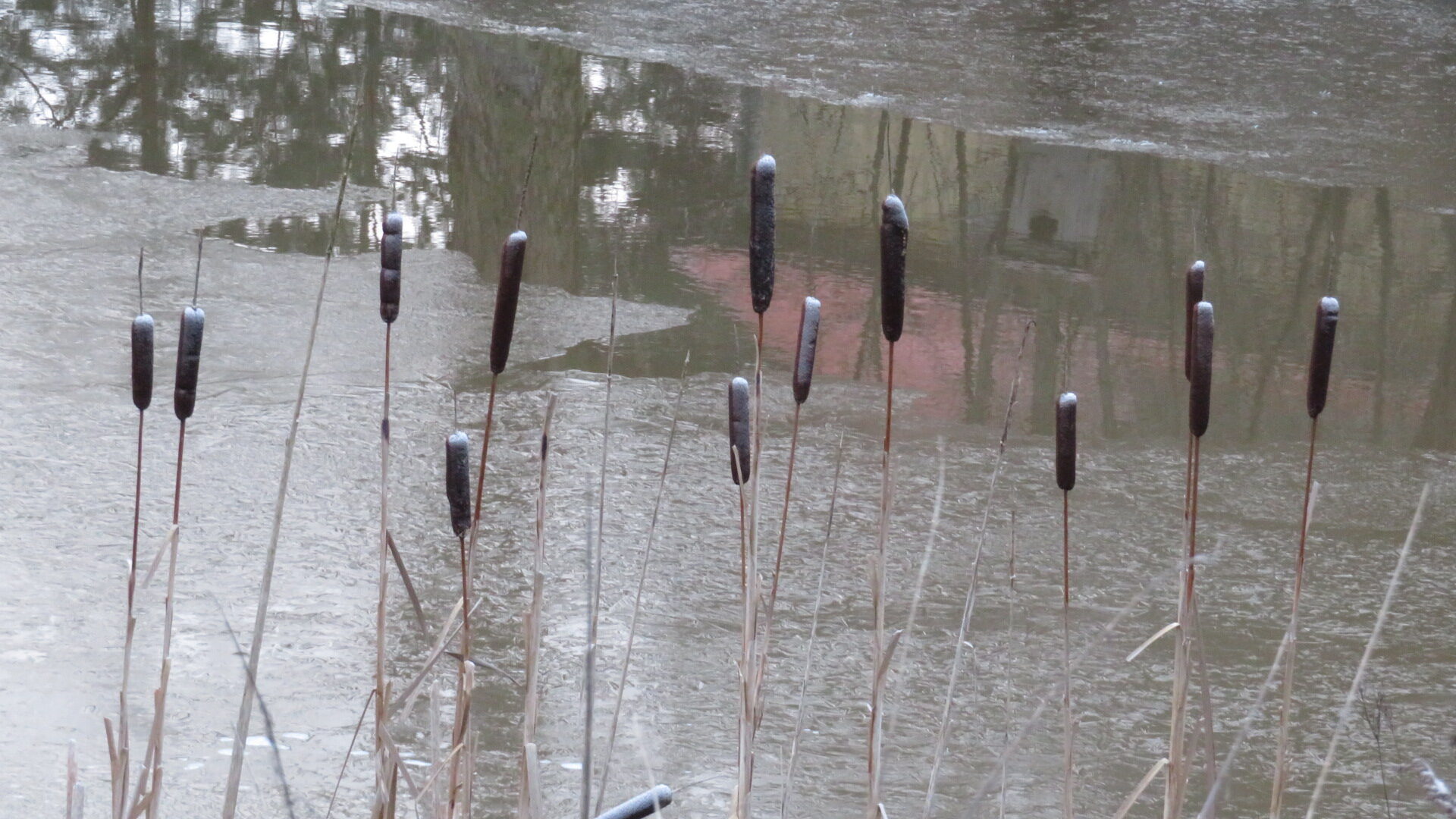 Valokuvaaja: Risto Kangassalo Valokuvaaja: Risto Kangassalo