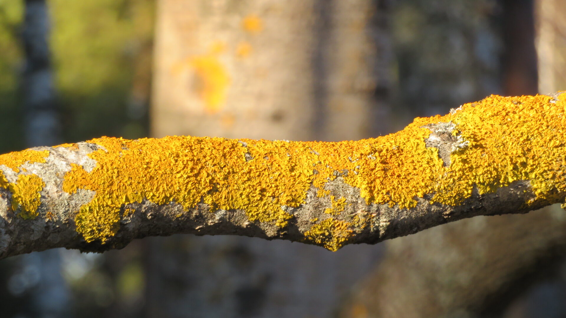 Valokuvaaja: Risto Kangassalo