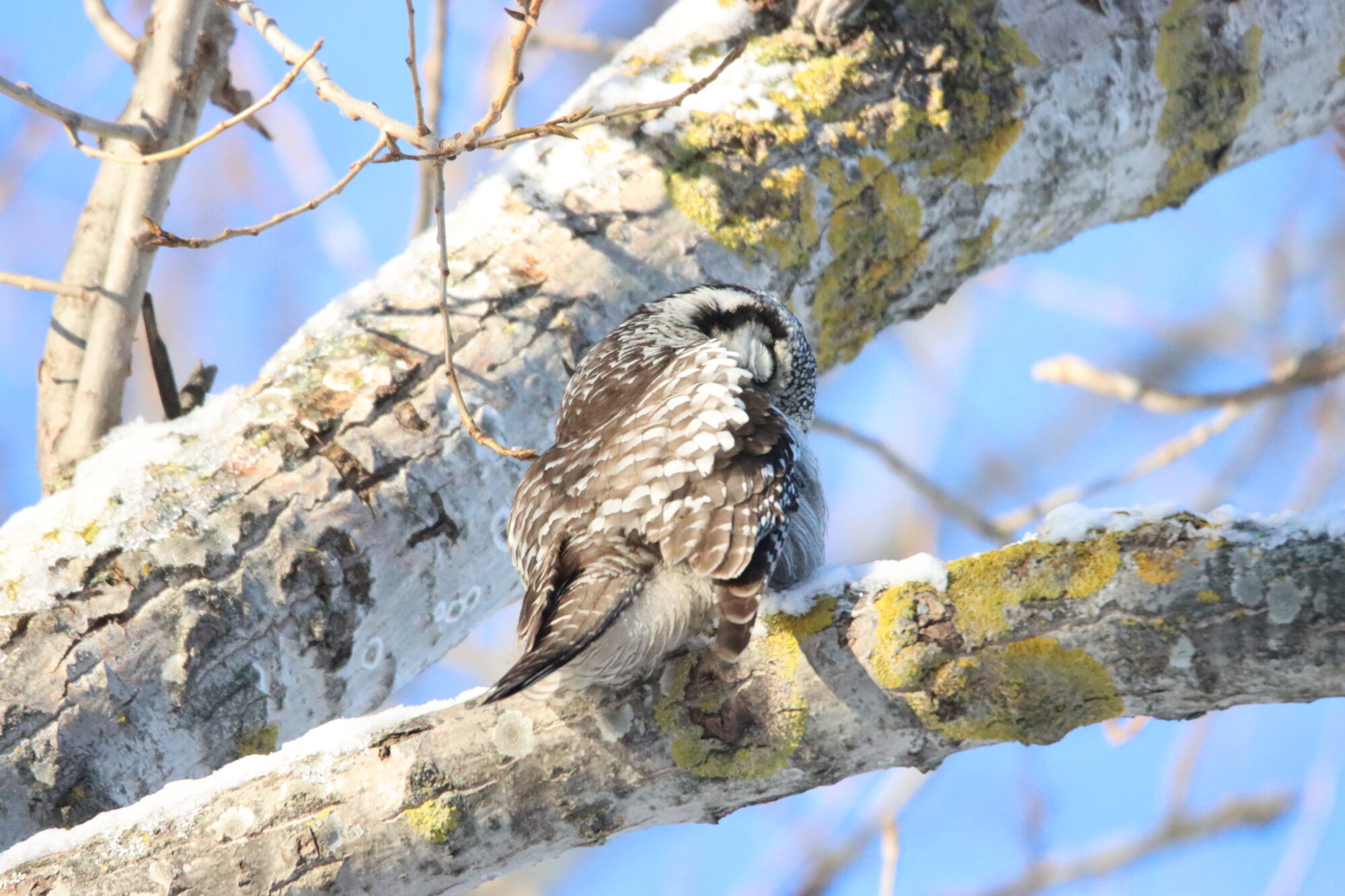 Valokuvaaja: Irja Lehtinen