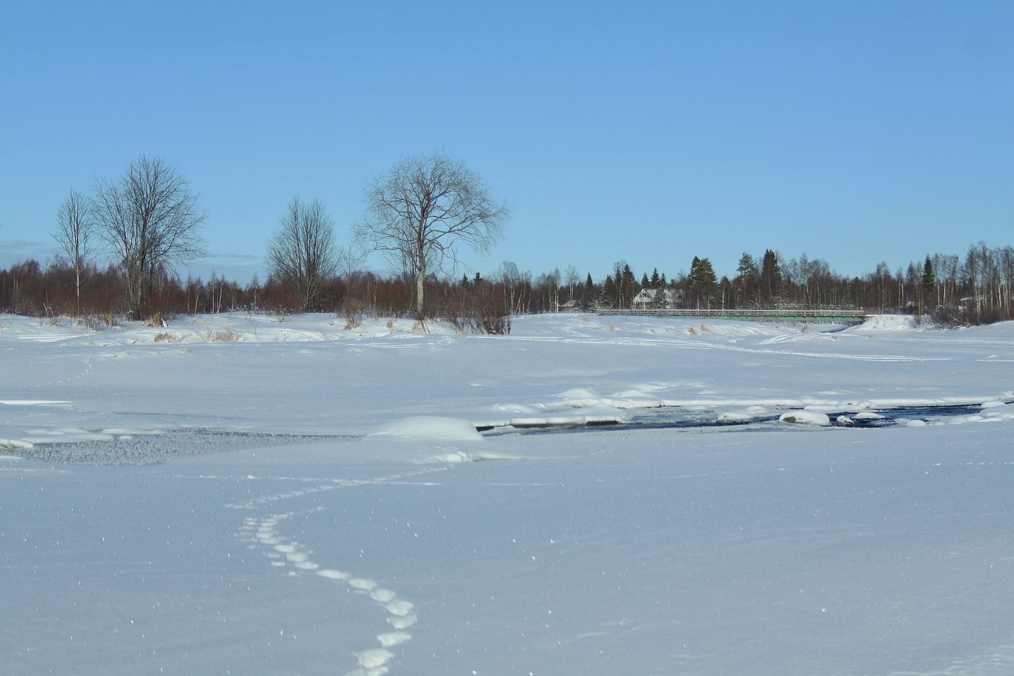 Valokuvaaja: Pirkko Siukonen
