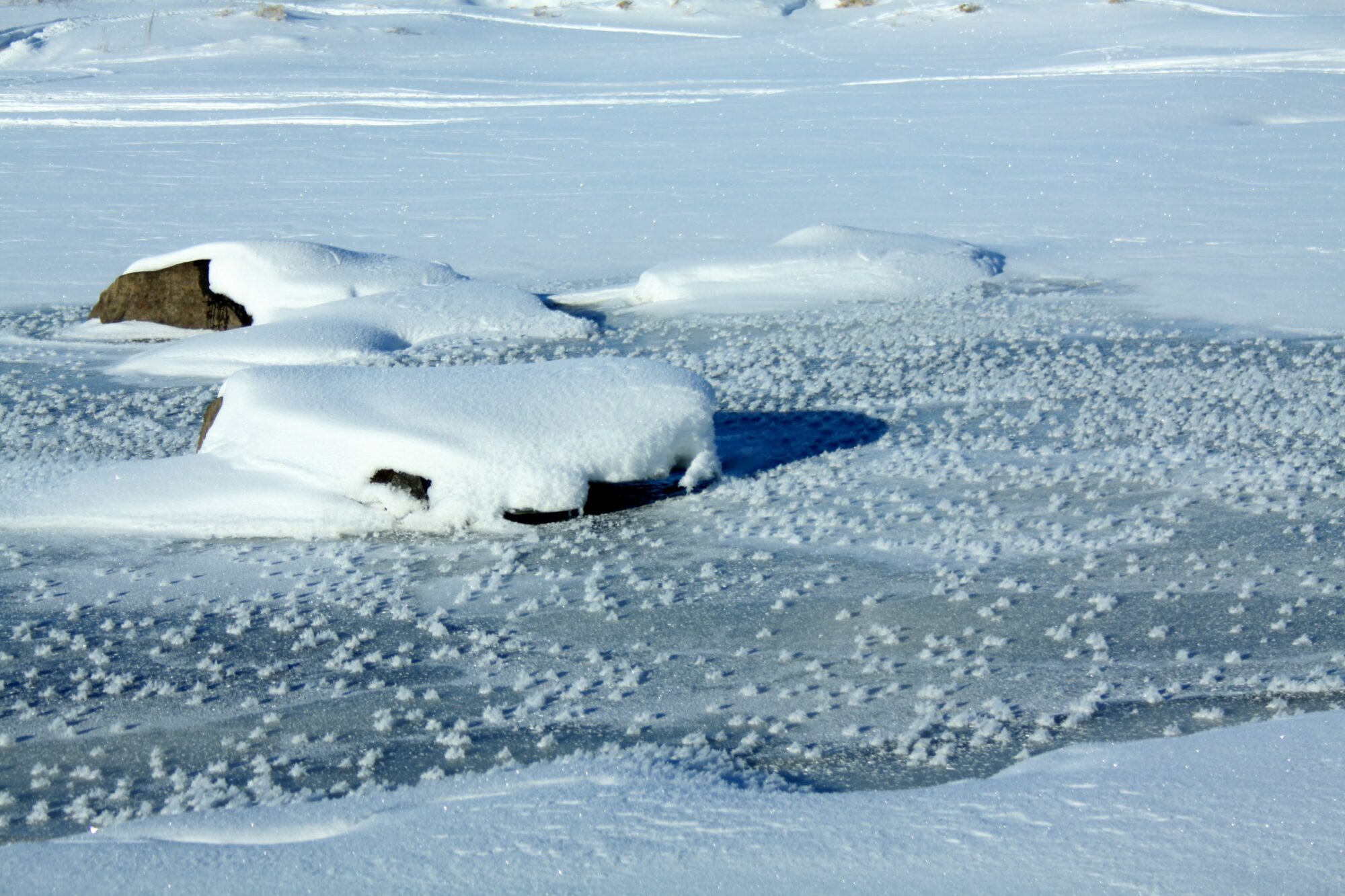 Valokuvaaja: Pirkko Siukonen Valokuvaaja: Pirkko Siukonen