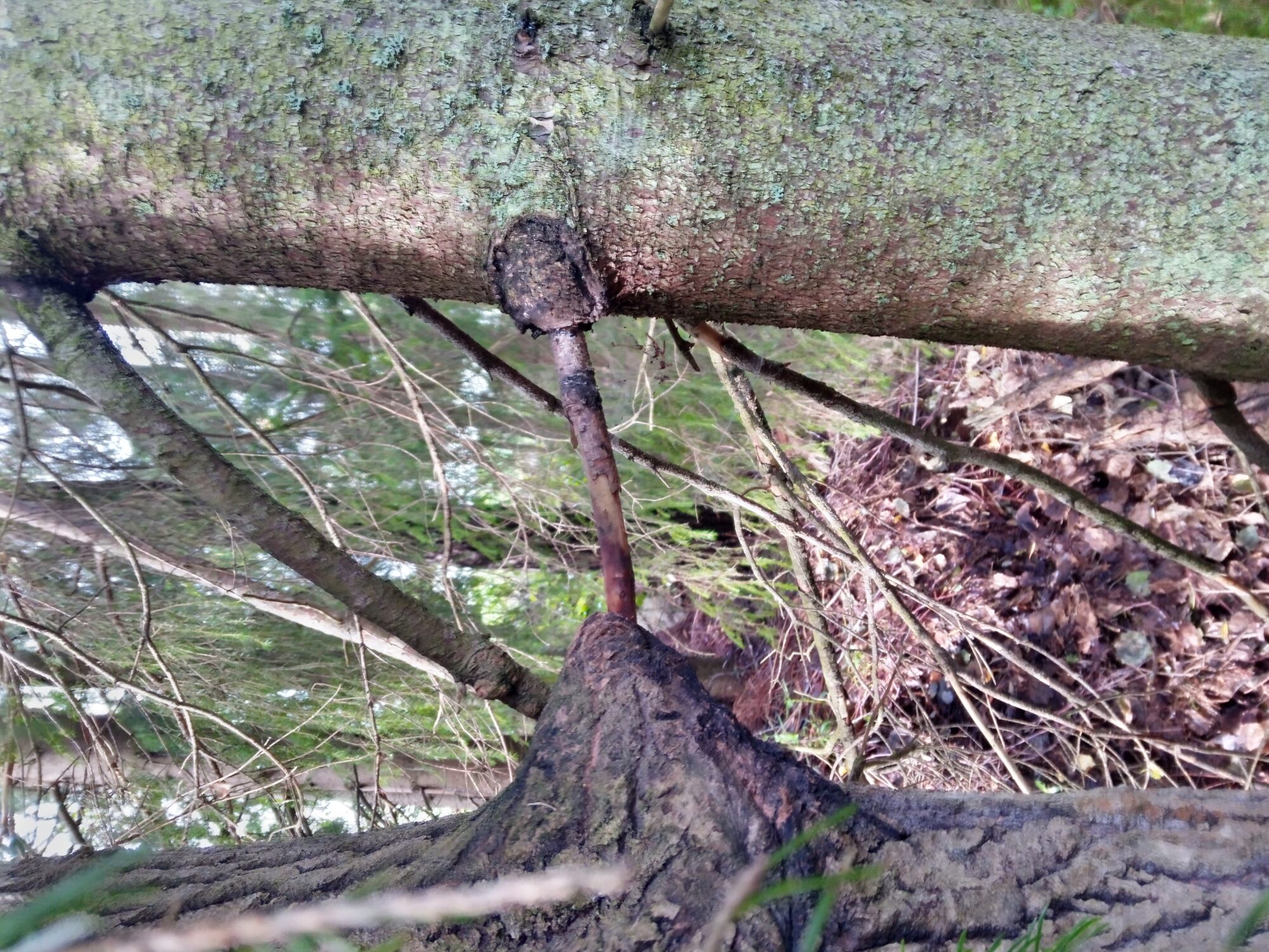 Valokuvaaja: Leila Särkkä