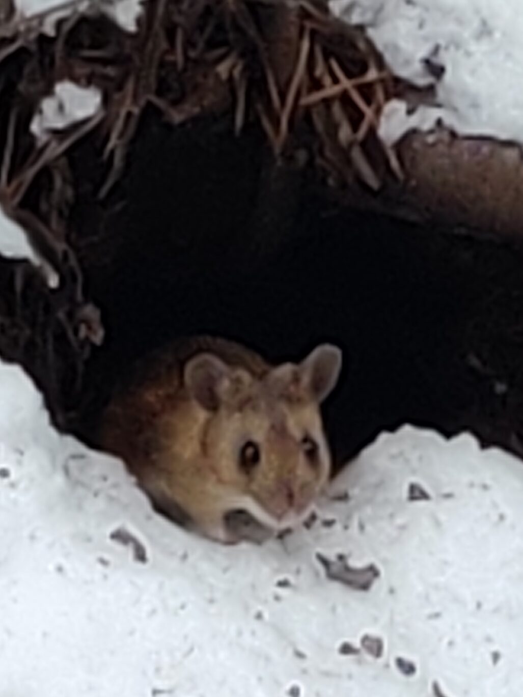 Valokuvaaja: Mailis Raden Raden