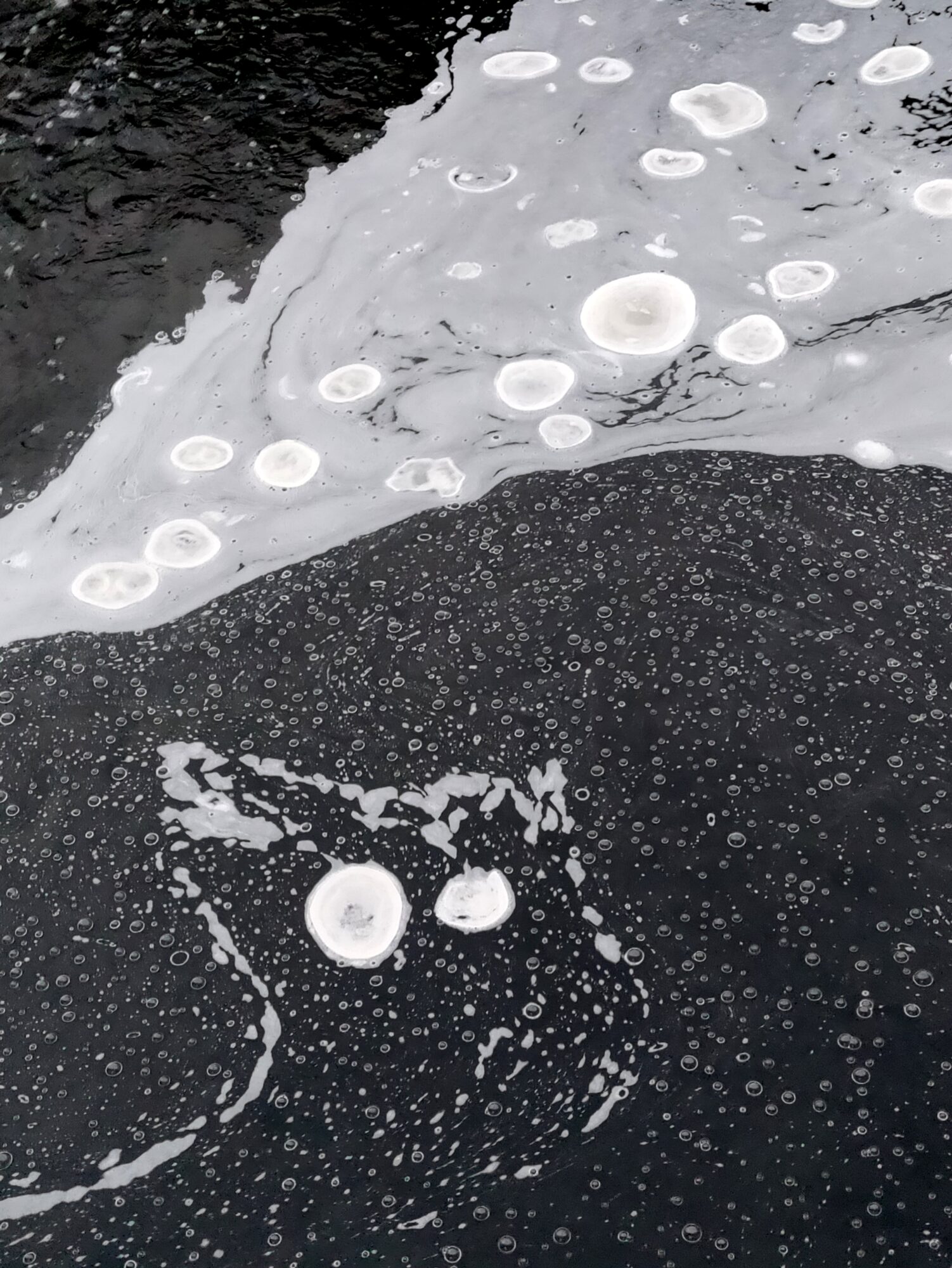 Valokuvaaja: Helena Sytelä