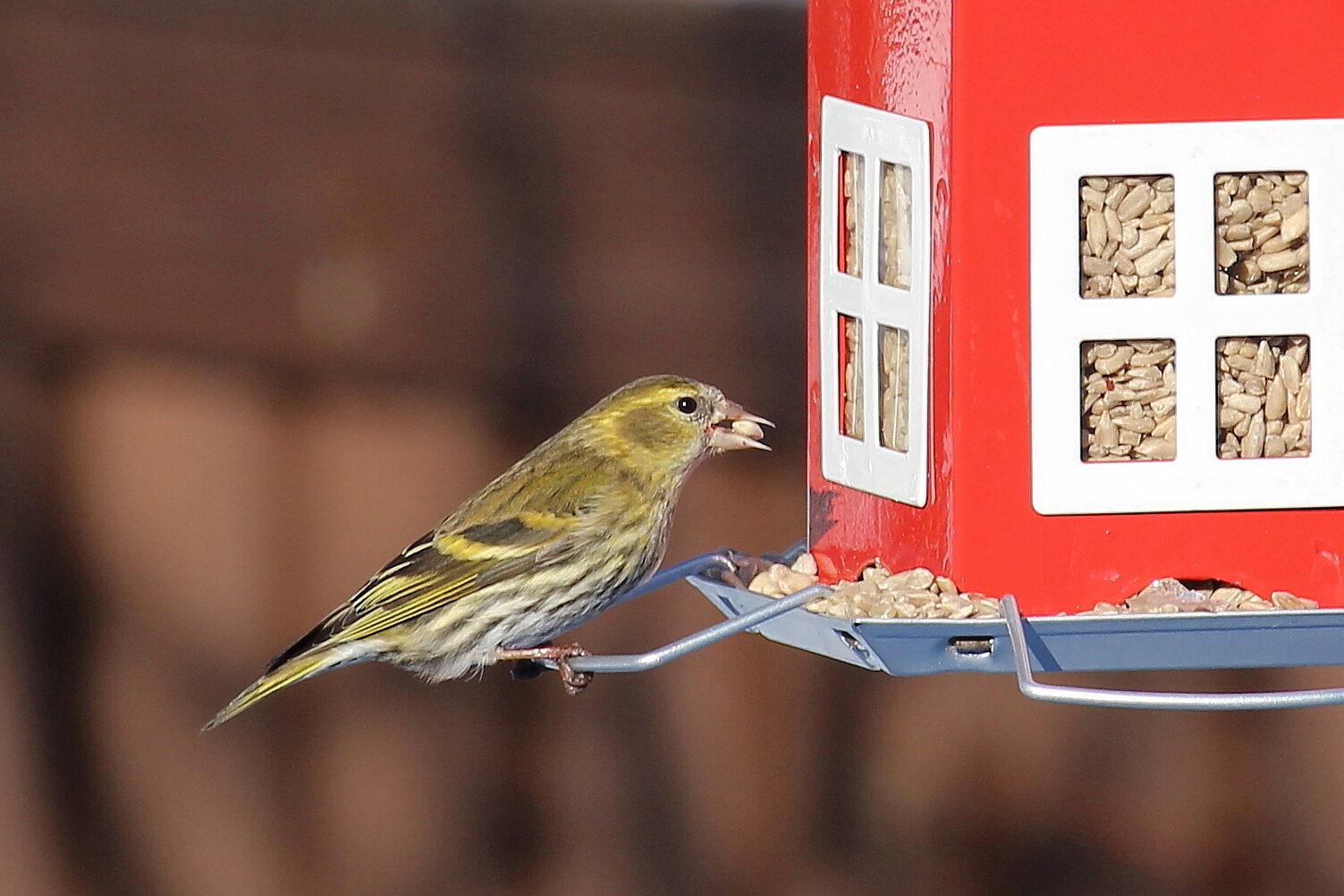 Valokuvaaja: Kirsi-Marja Joenpolvi