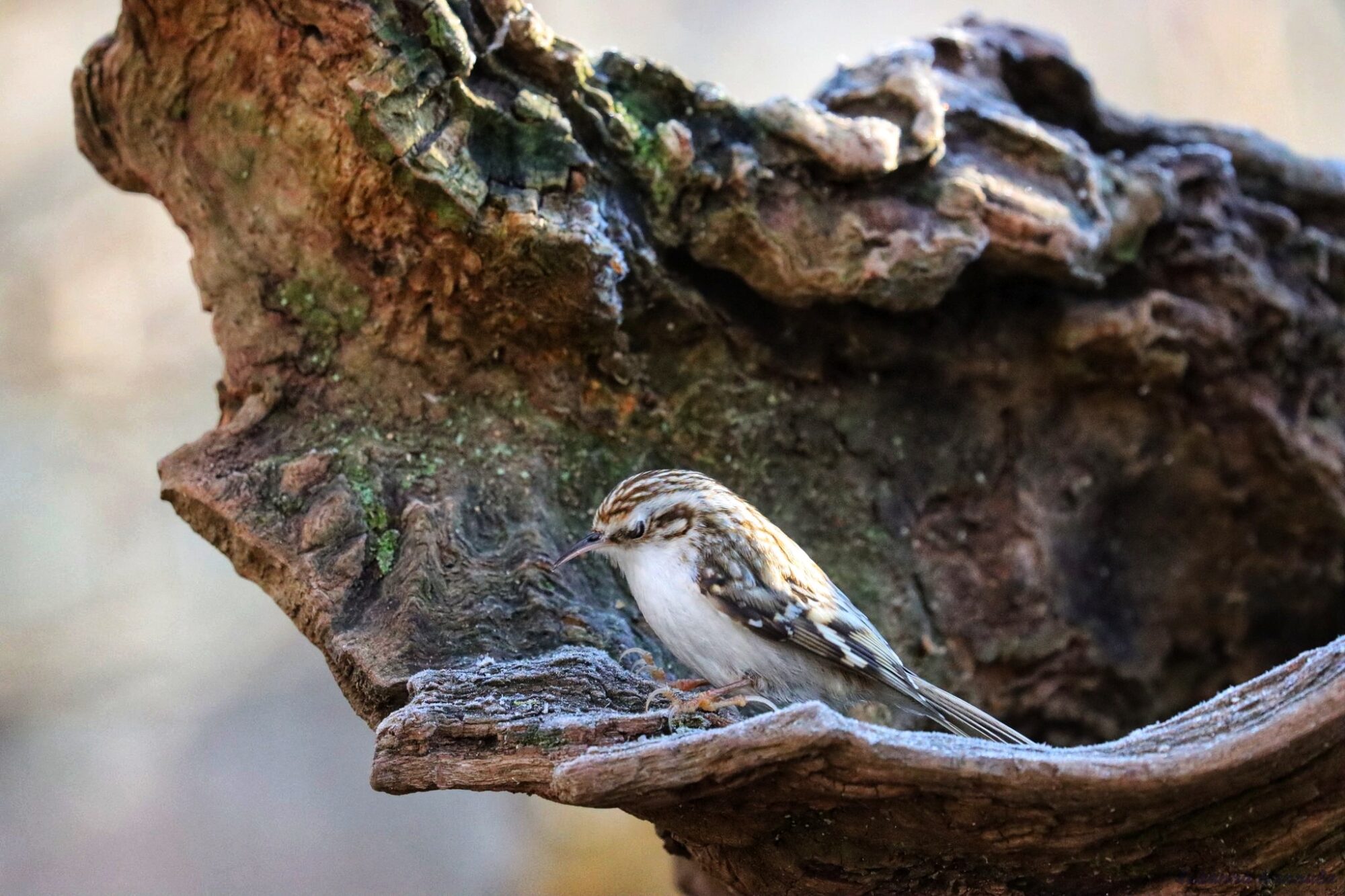 Valokuvaaja: Susanna Hannula