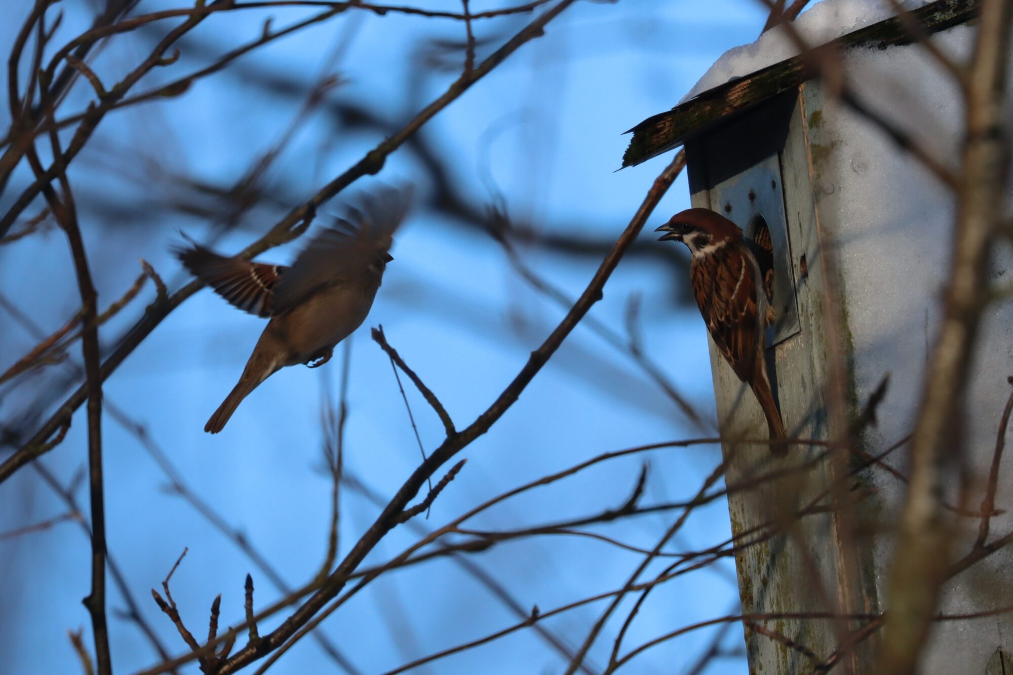 Valokuvaaja: Susanna Hannula