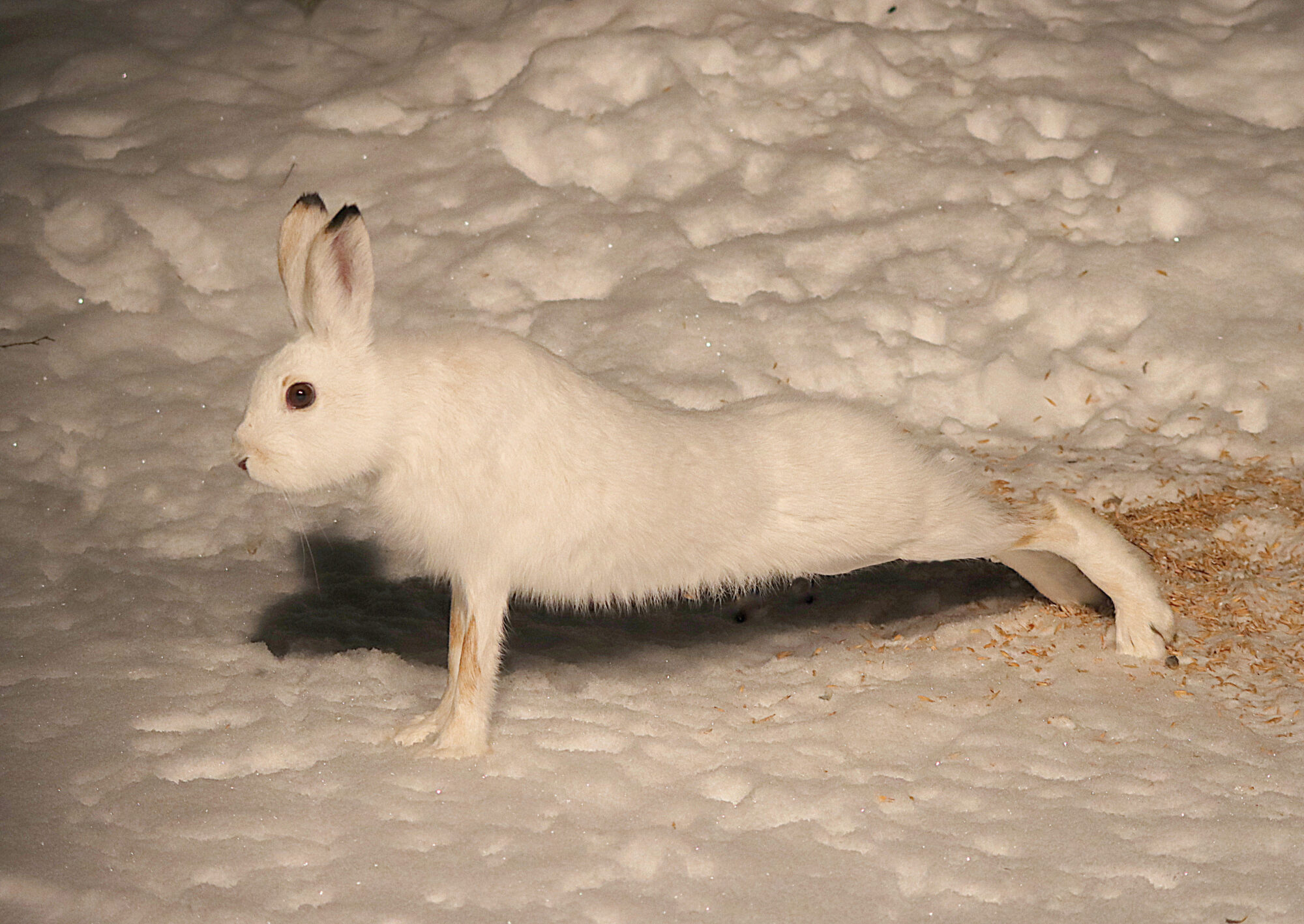 Valokuvaaja: Hannu Rasiranta