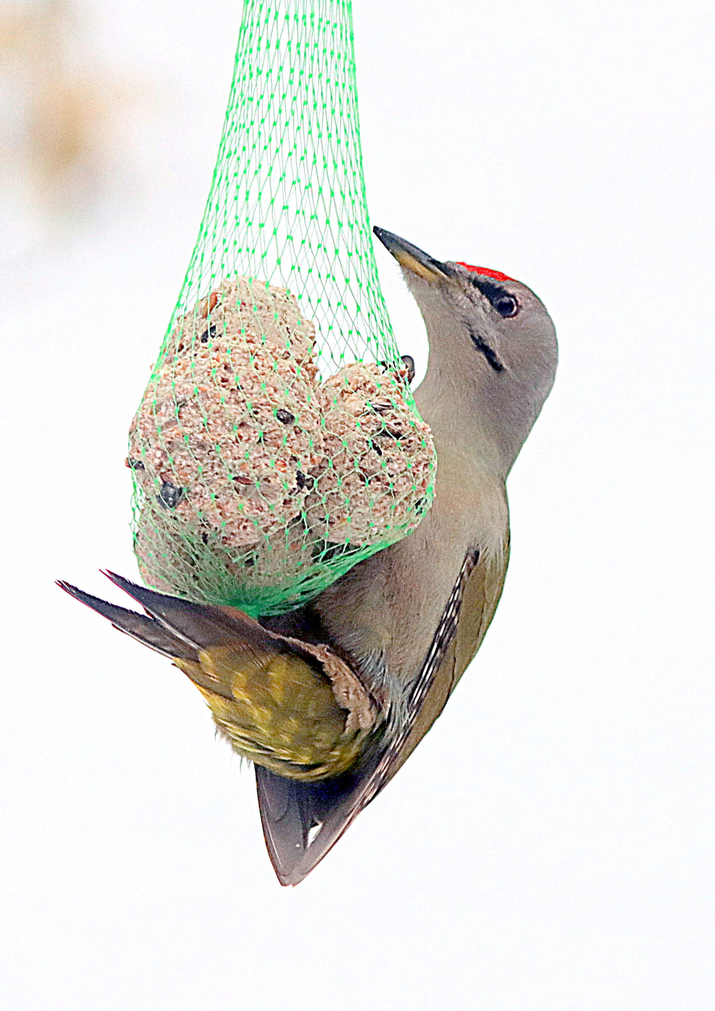 Valokuvaaja: Hannu Rasiranta