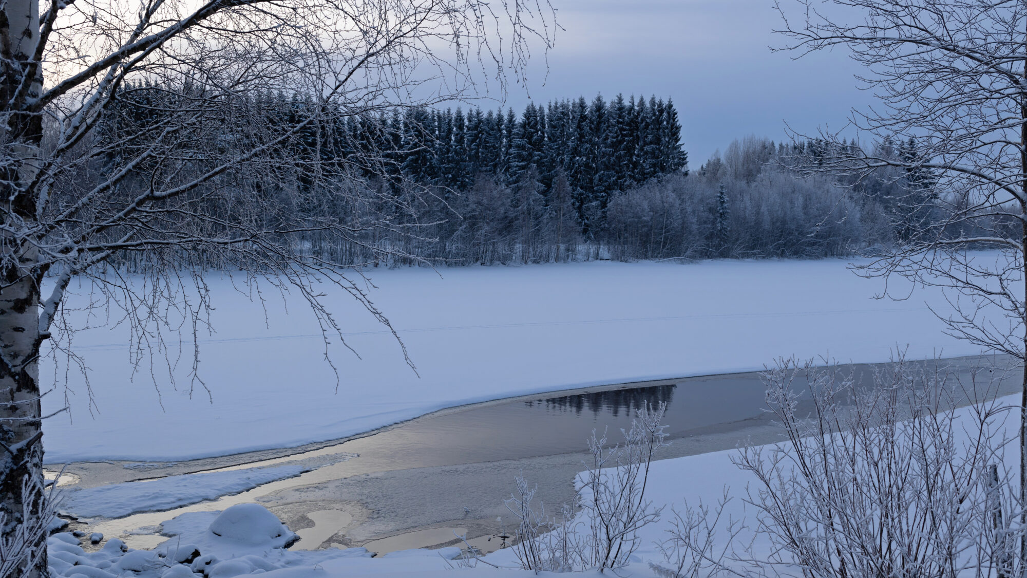 Valokuvaaja: TOMMI KUJALA Valokuvaaja: TOMMI KUJALA