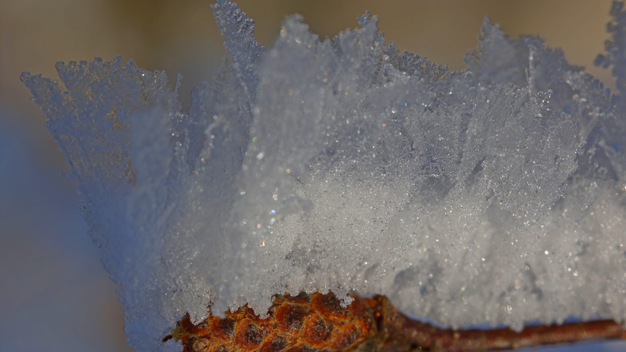 Valokuvaaja: TOMMI KUJALA