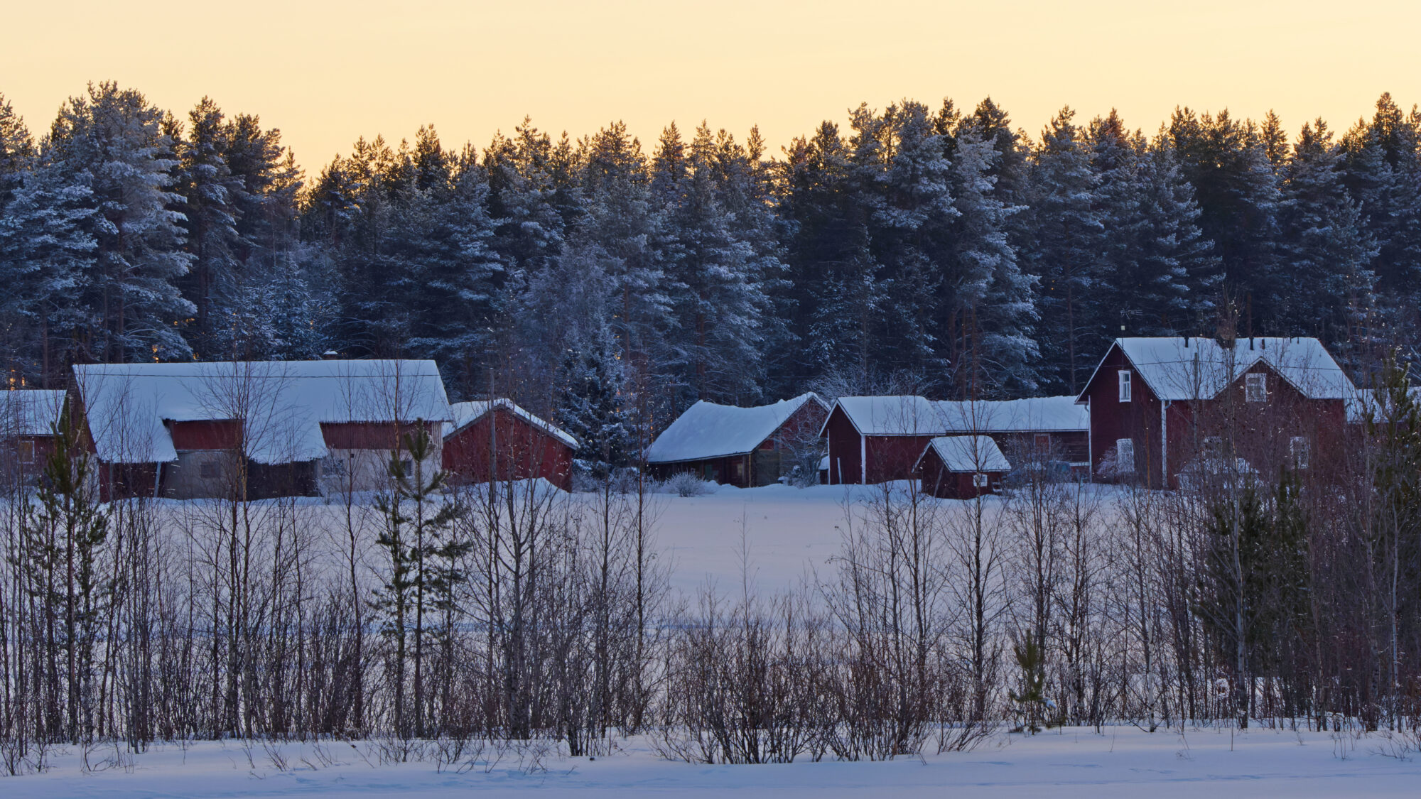 Valokuvaaja: TOMMI KUJALA