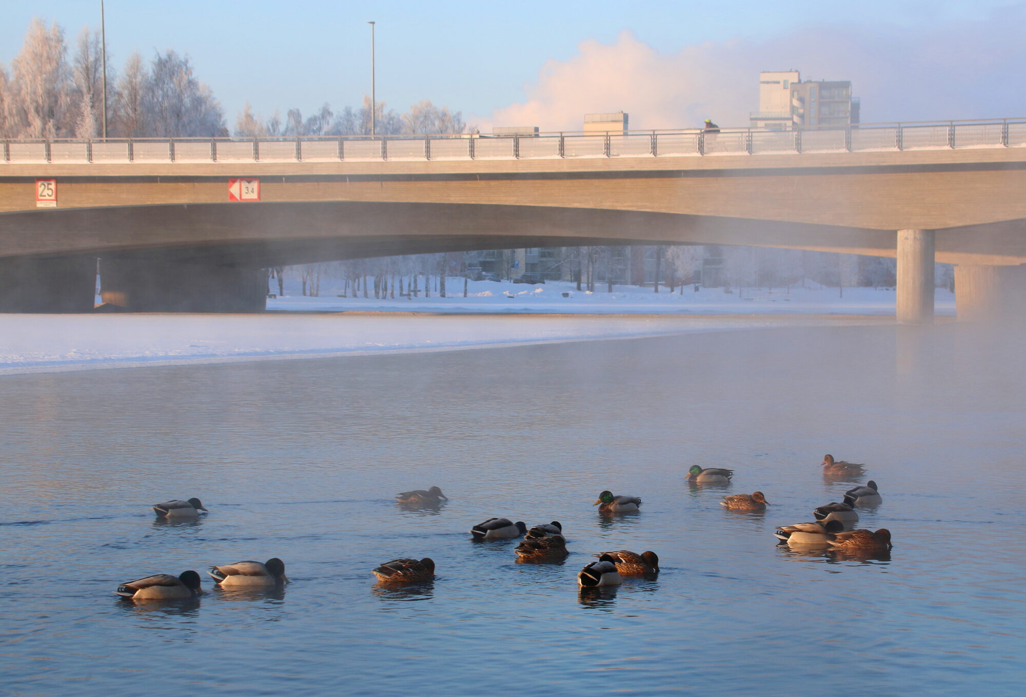 Valokuvaaja: Tuukka Pahtamaa Valokuvaaja: Tuukka Pahtamaa
