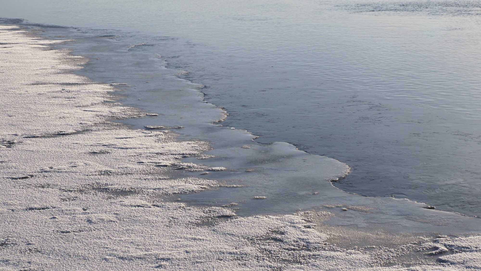 Valokuvaaja: Arja Valtonen