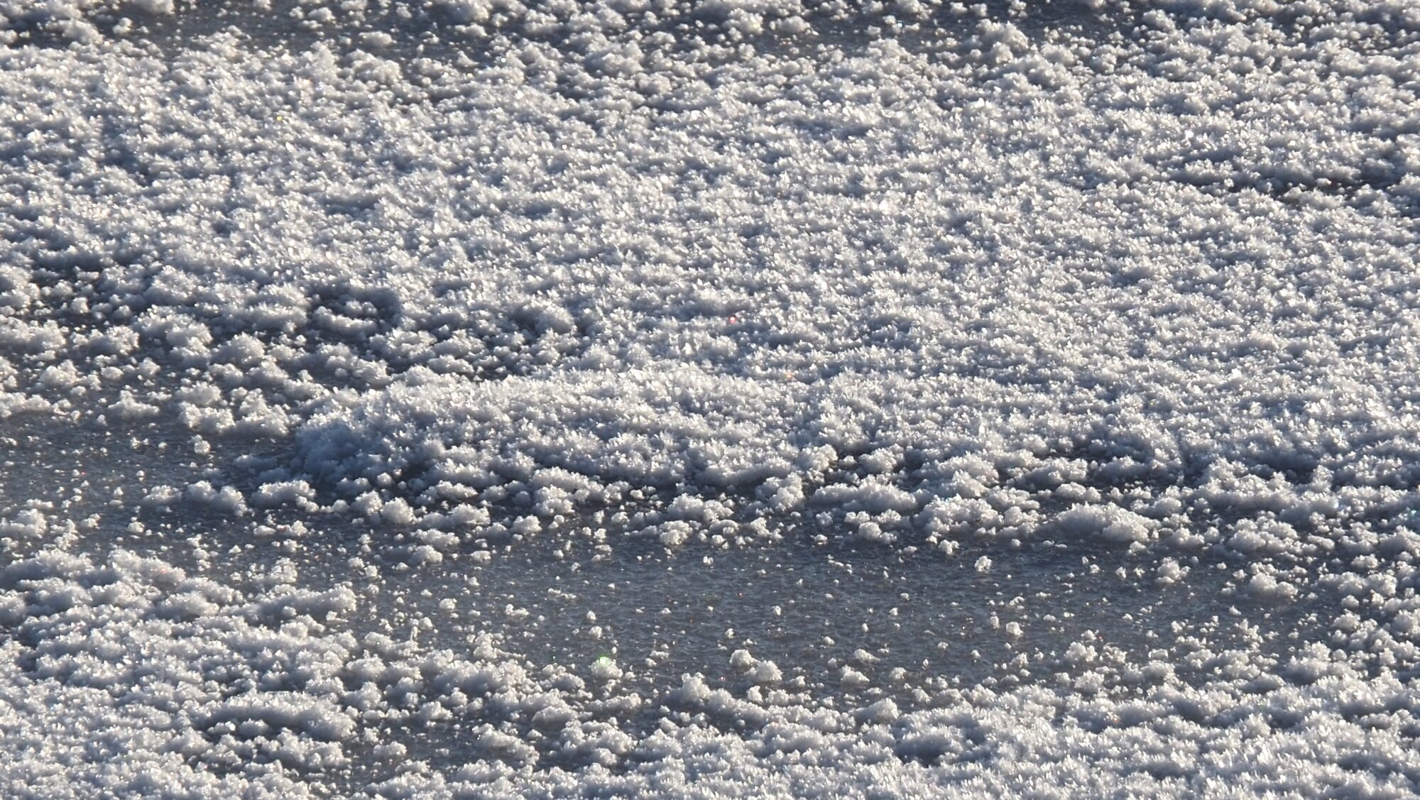 Valokuvaaja: Arja Valtonen Valokuvaaja: Arja Valtonen