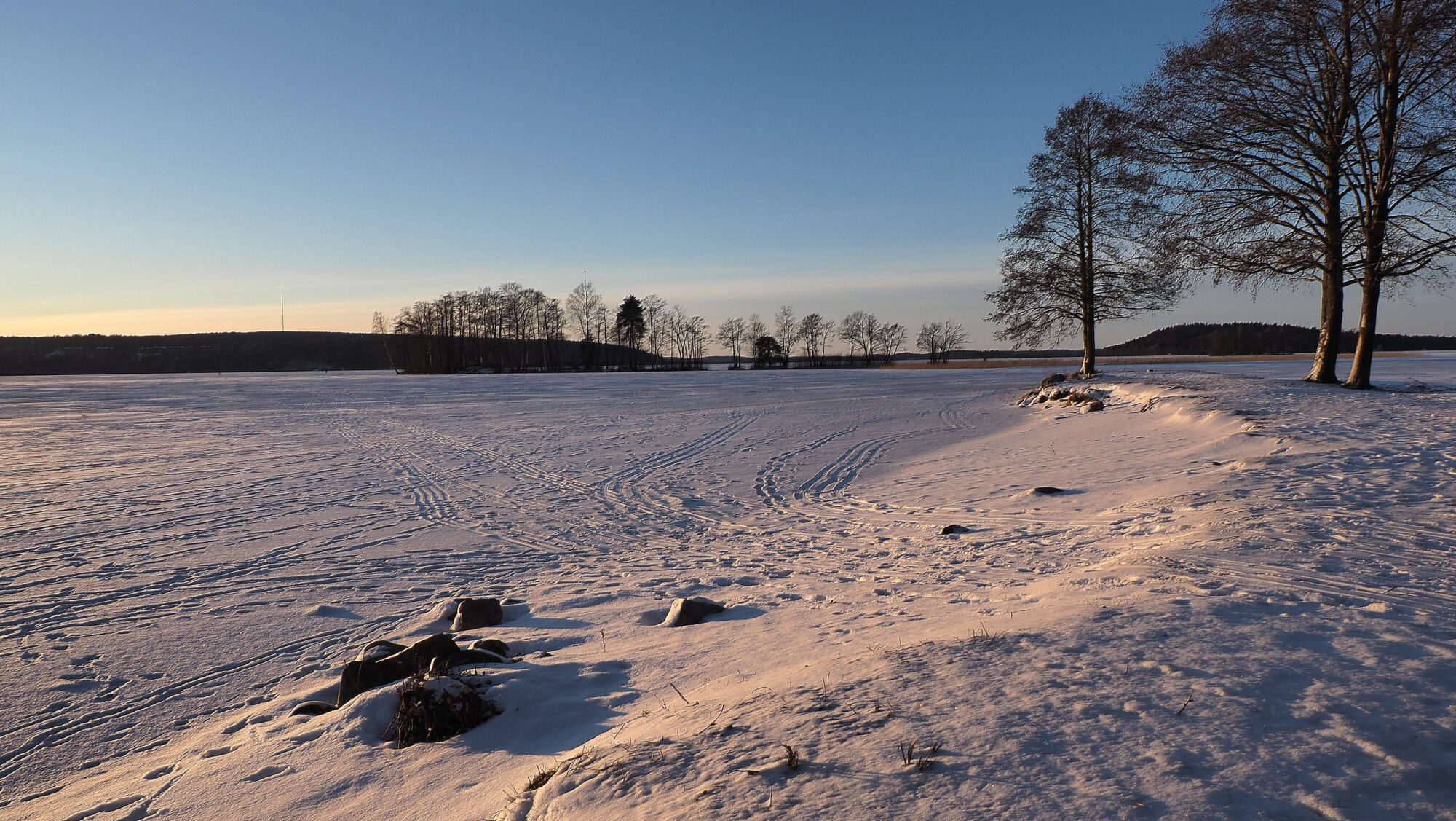 Valokuvaaja: Arja Valtonen Valokuvaaja: Arja Valtonen