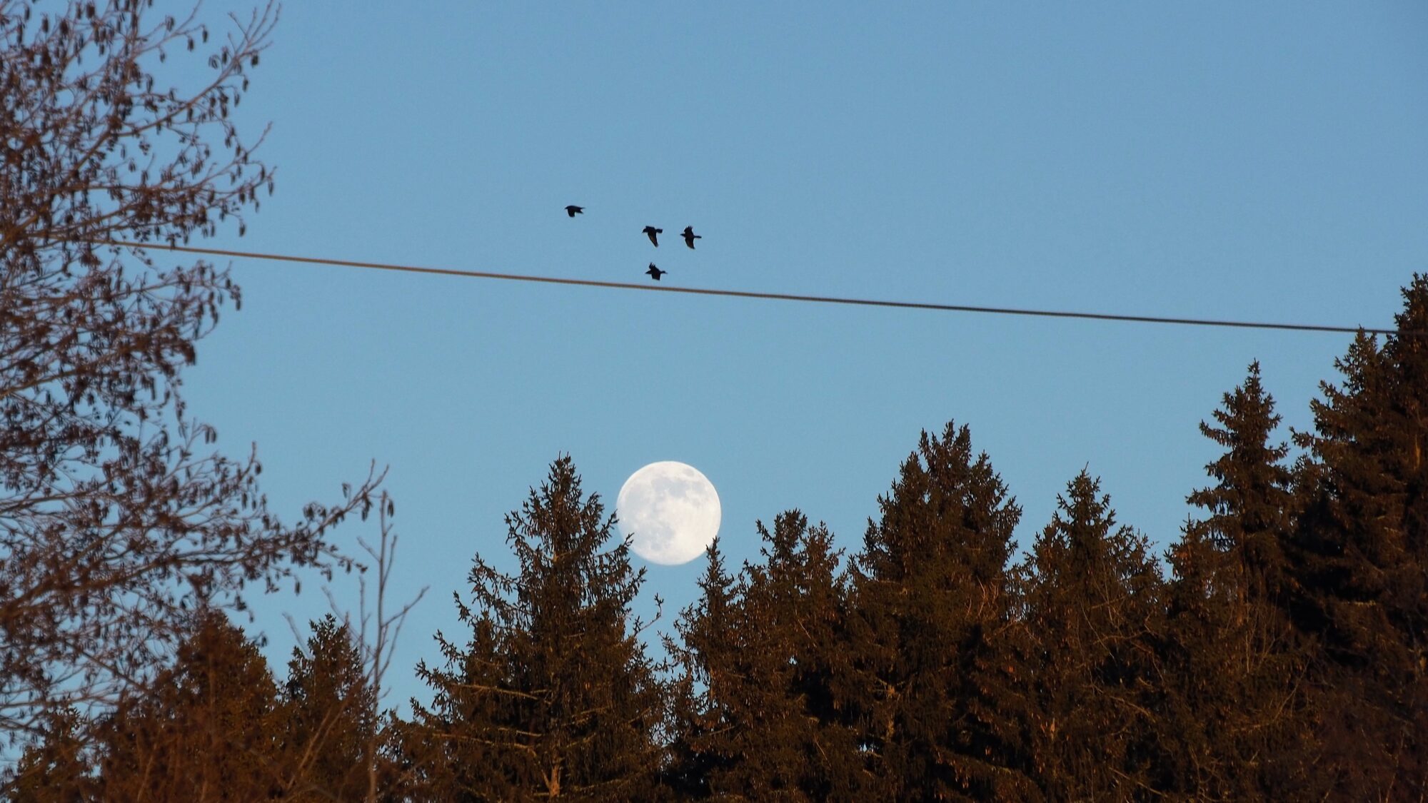 Valokuvaaja: Martti Valtonen