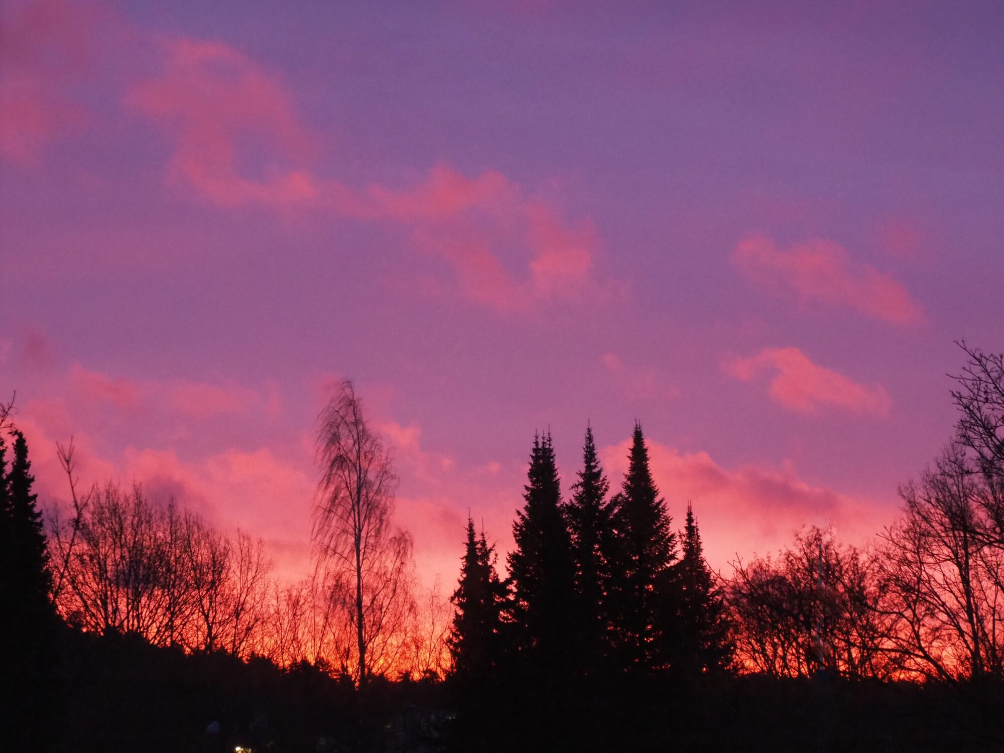 Valokuvaaja: Martti Valtonen