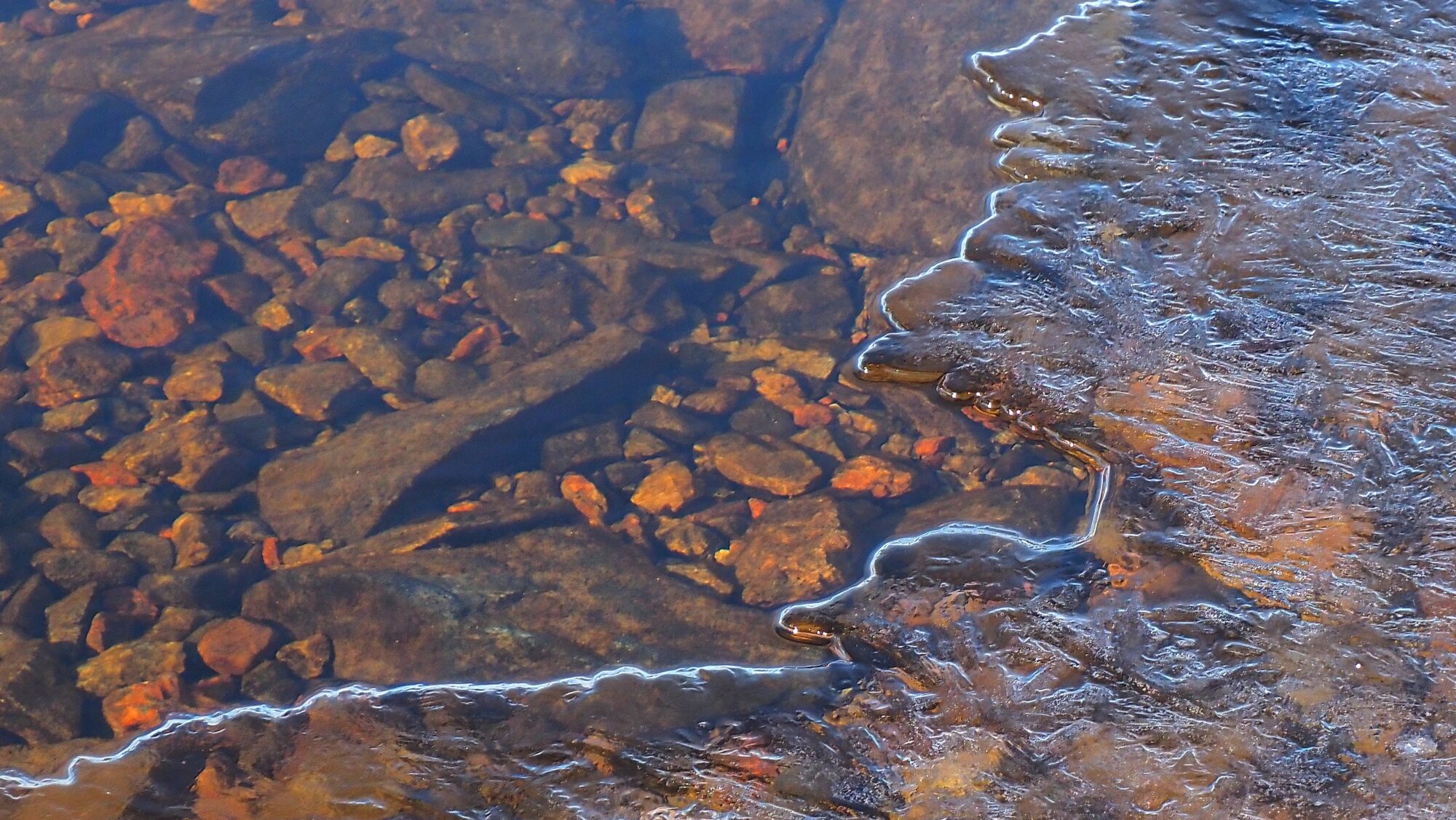 Valokuvaaja: Arja Valtonen