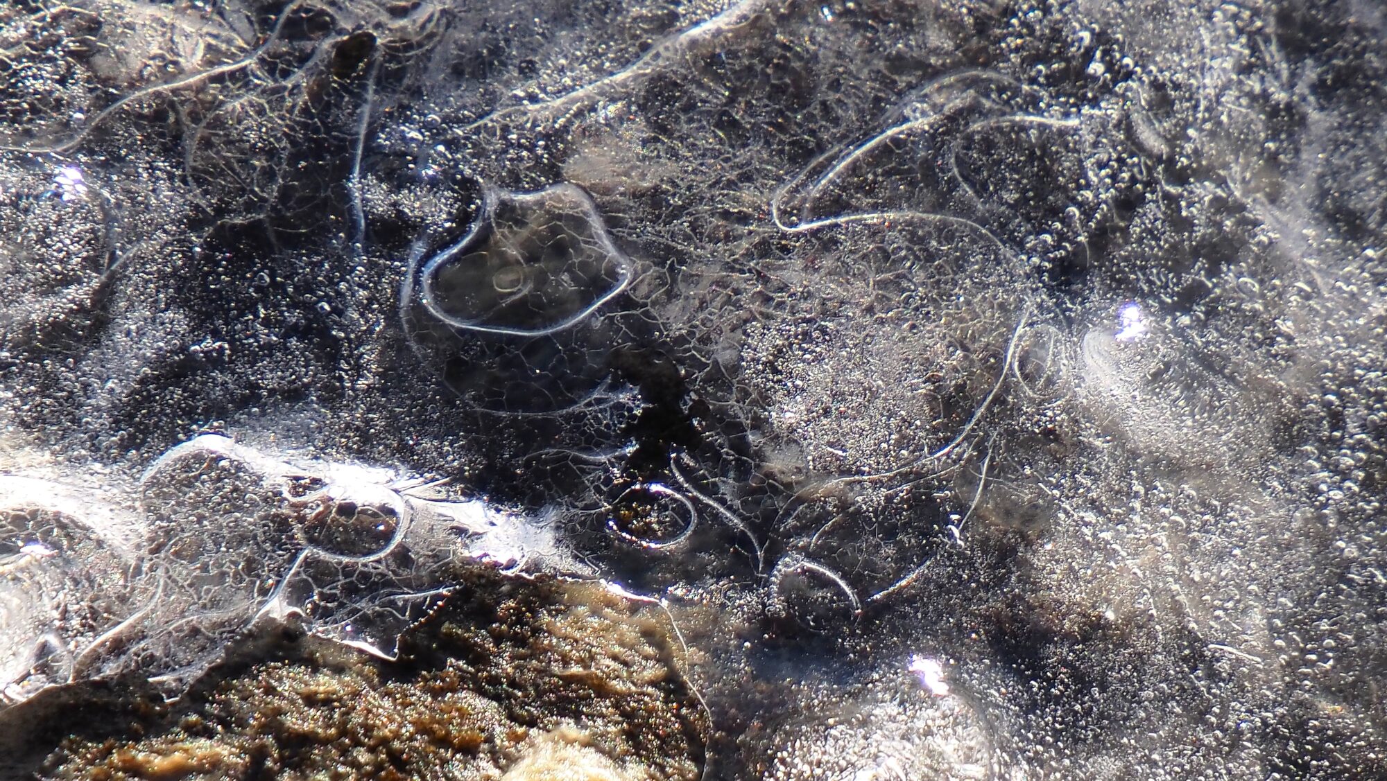 Valokuvaaja: Arja Valtonen