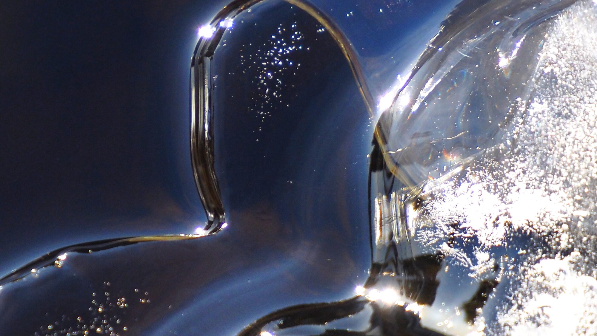 Valokuvaaja: Arja Valtonen