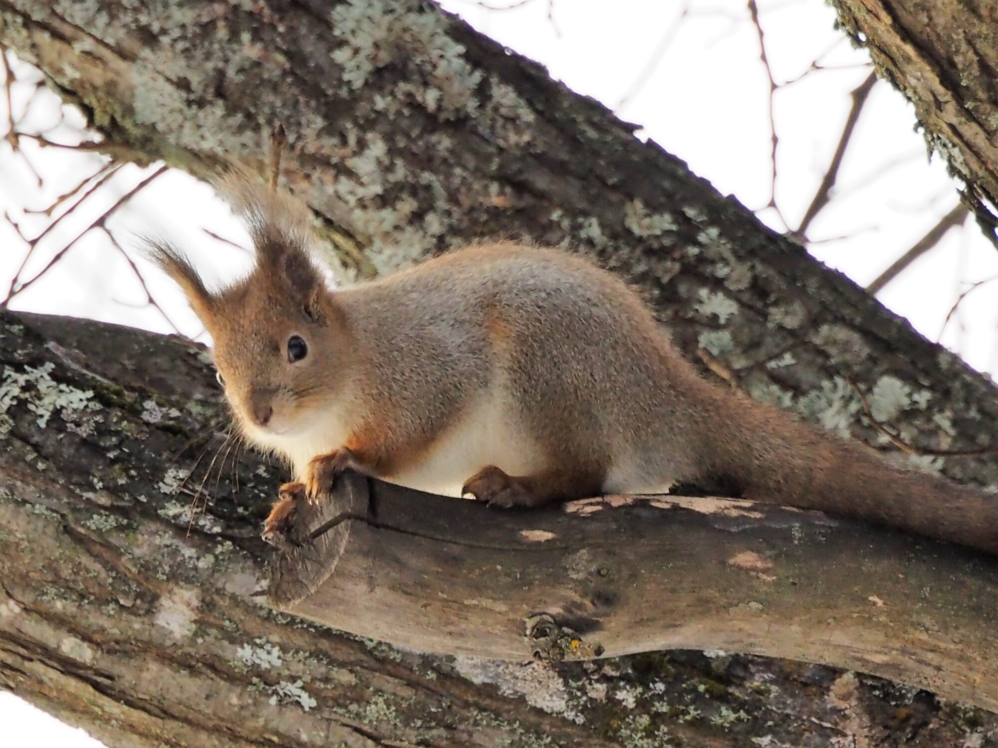 Valokuvaaja: Martti Valtonen