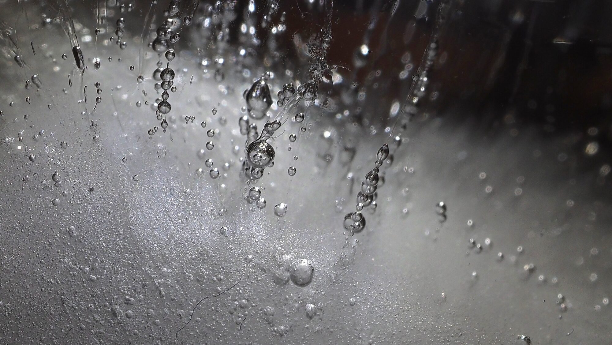 Valokuvaaja: Arja Valtonen Valokuvaaja: Arja Valtonen