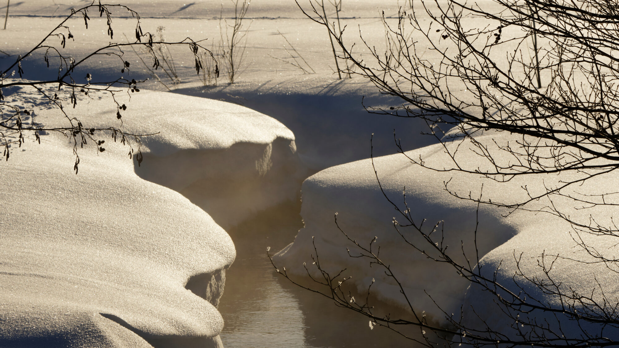 Valokuvaaja: TOMMI KUJALA