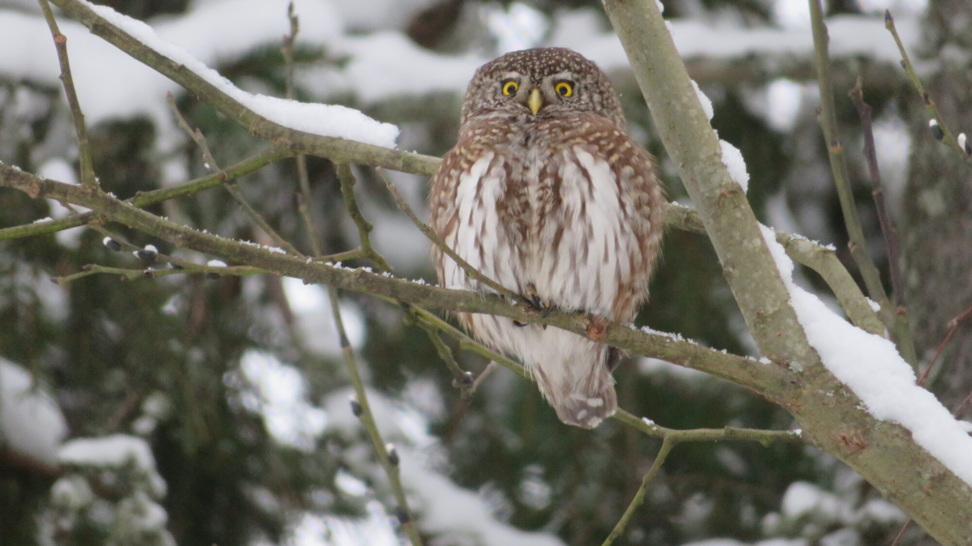 Valokuvaaja: Mari Ahtola