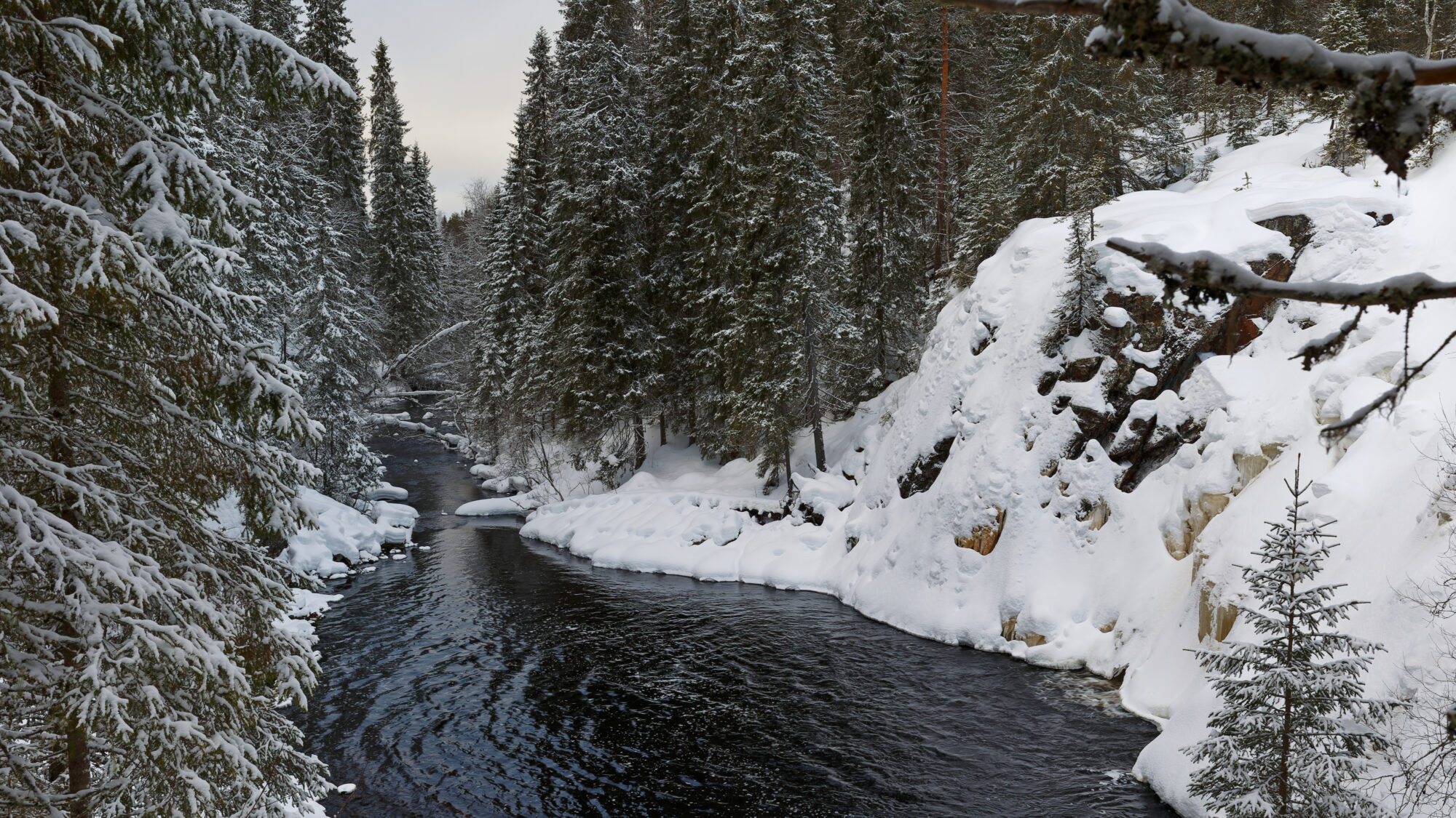 Valokuvaaja: TOMMI KUJALA