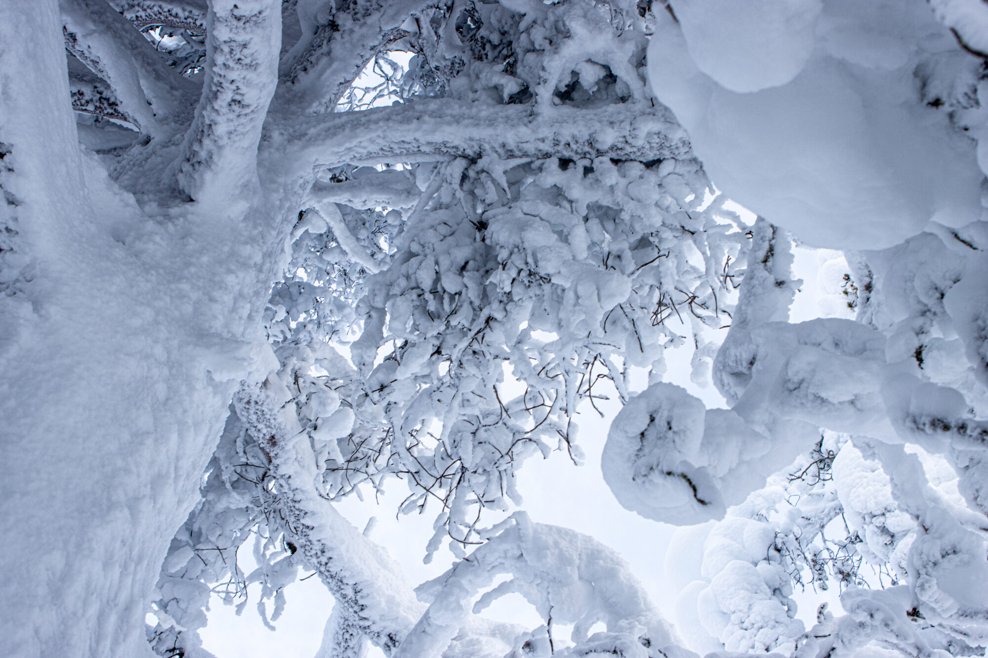 Valokuvaaja: Katri Niskanen