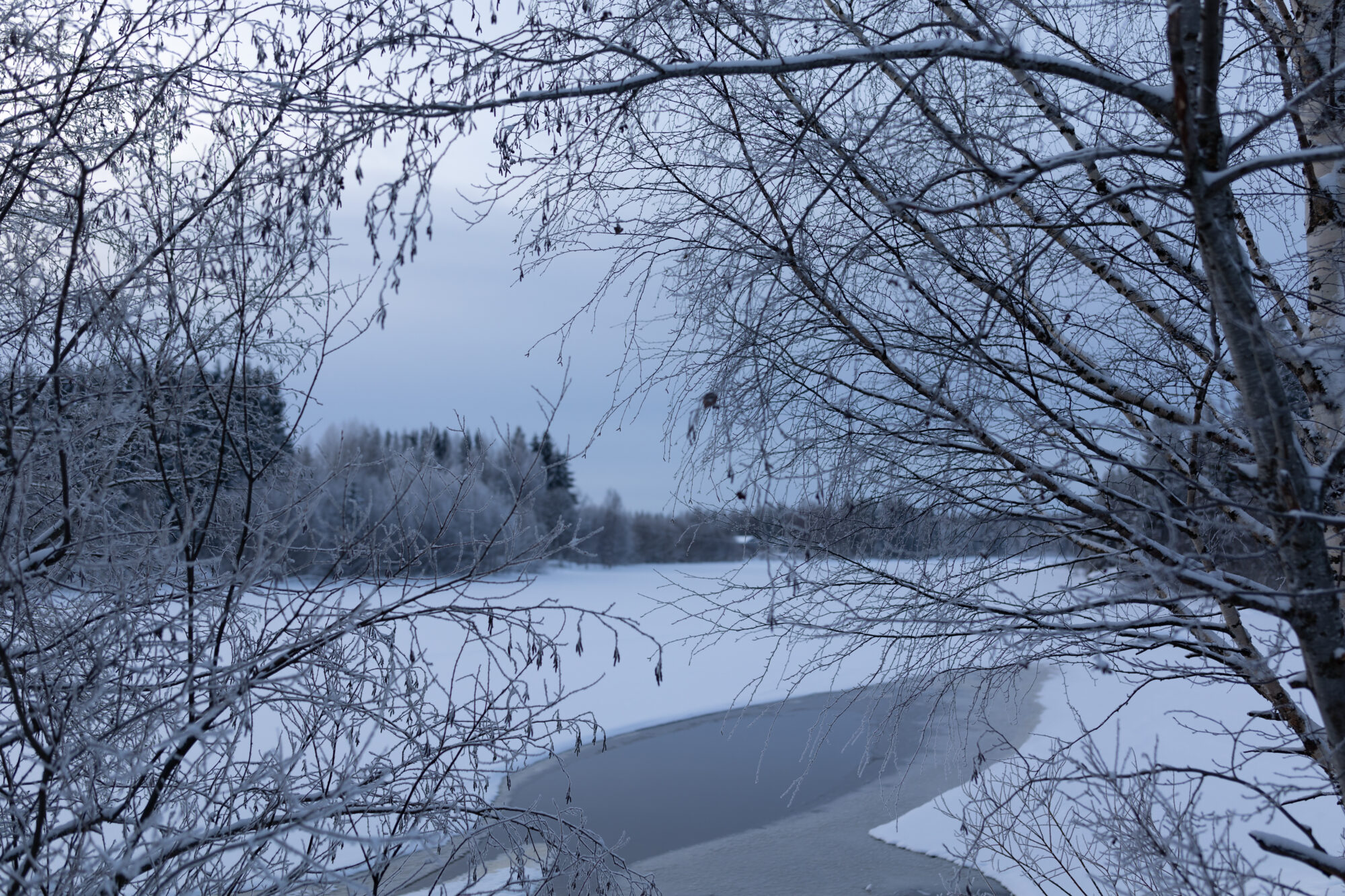 Valokuvaaja: TOMMI KUJALA Valokuvaaja: TOMMI KUJALA