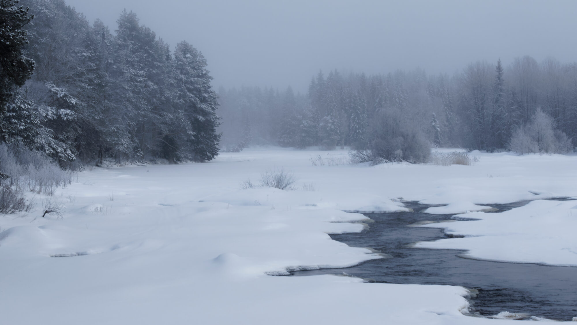 Valokuvaaja: TOMMI KUJALA