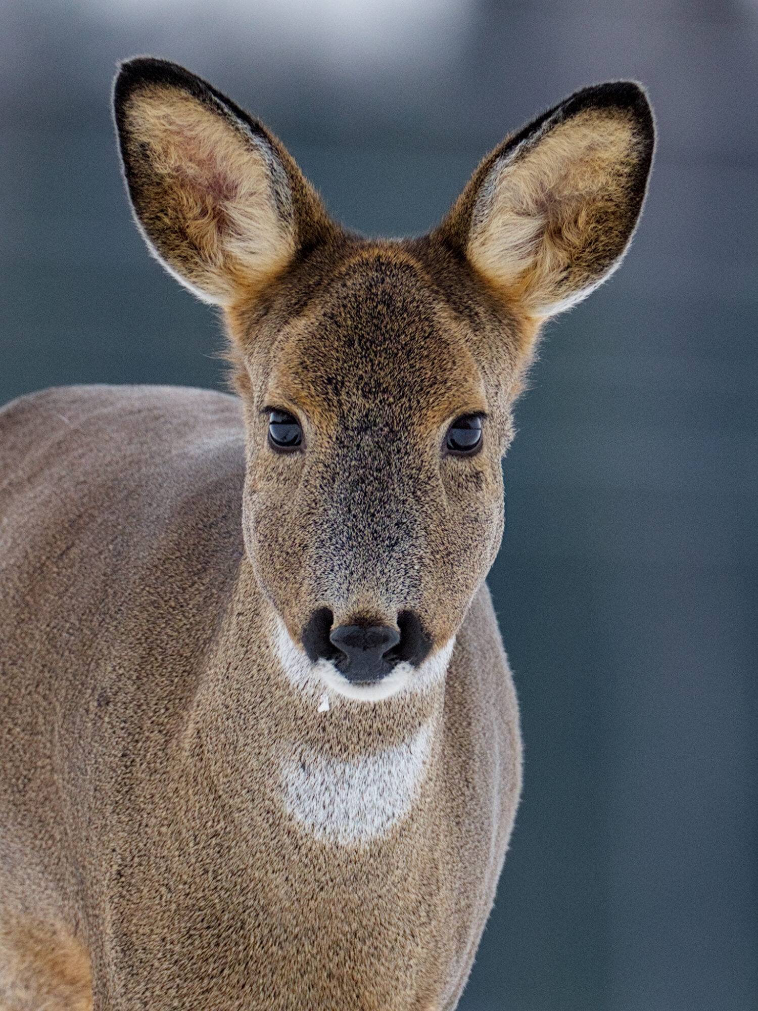 Valokuvaaja: Eero Lemmelä
