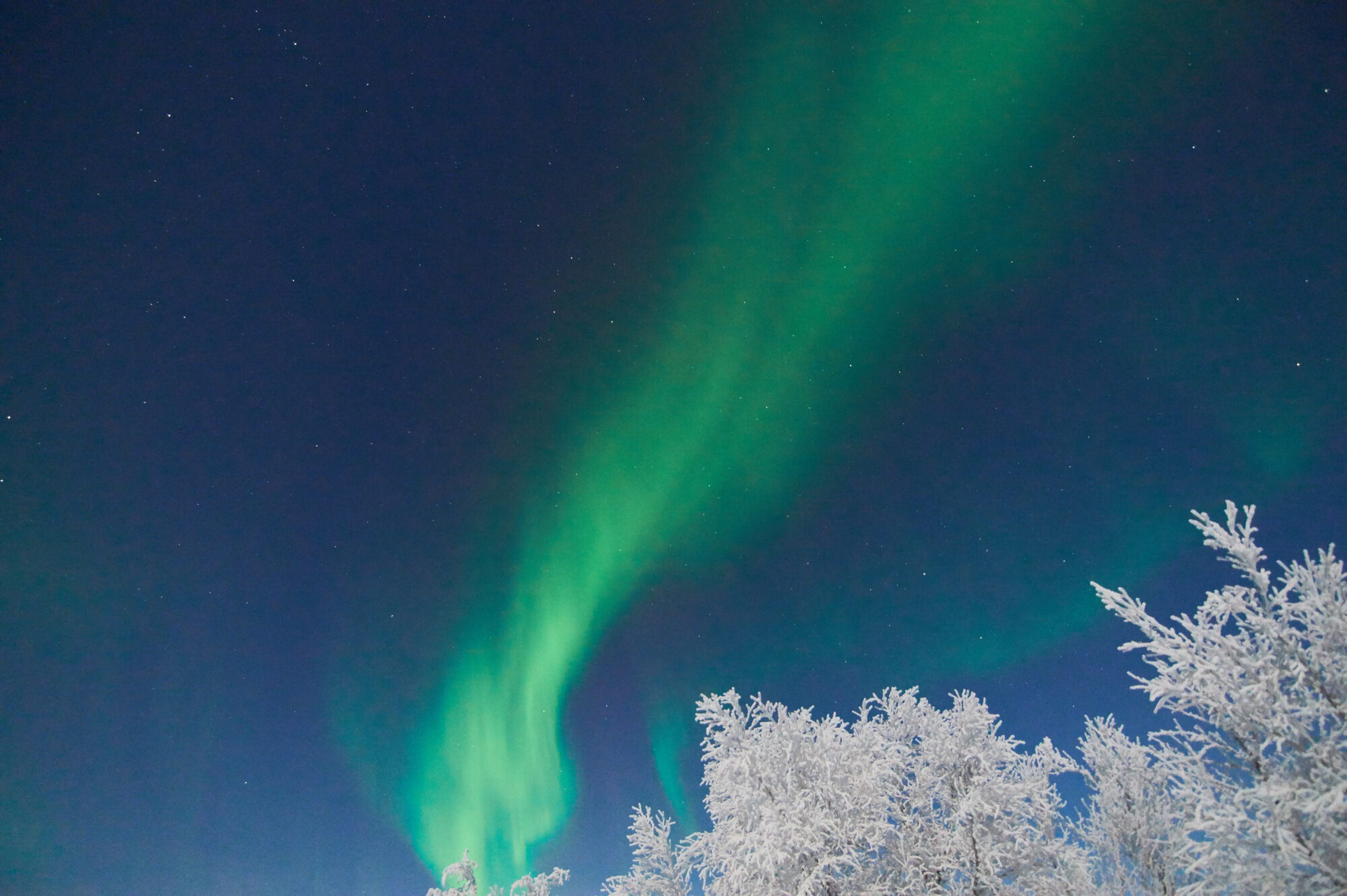 Valokuvaaja: Tarja Kouvo Valokuvaaja: Tarja Kouvo