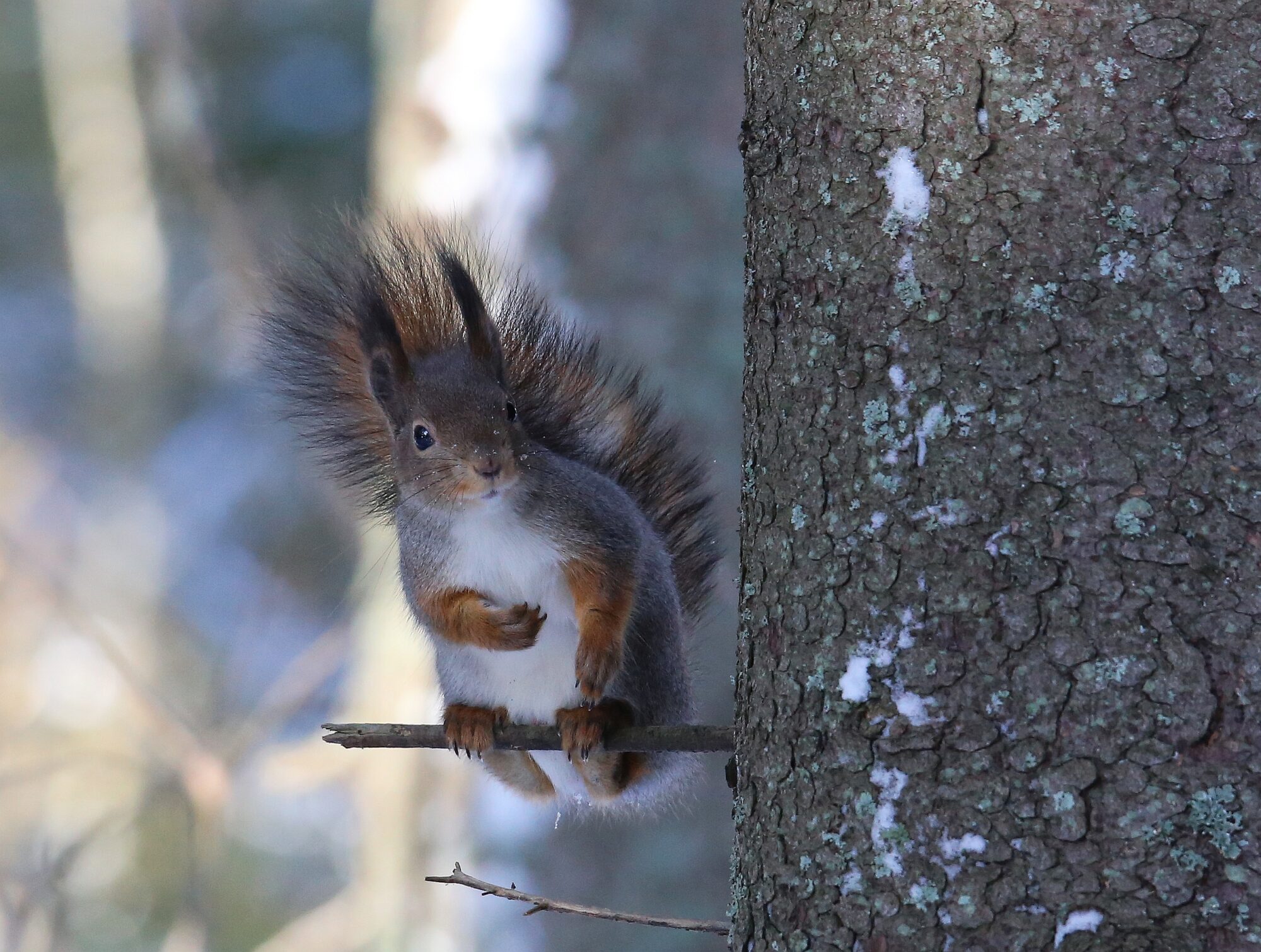 Valokuvaaja: Jaana Saarelainen