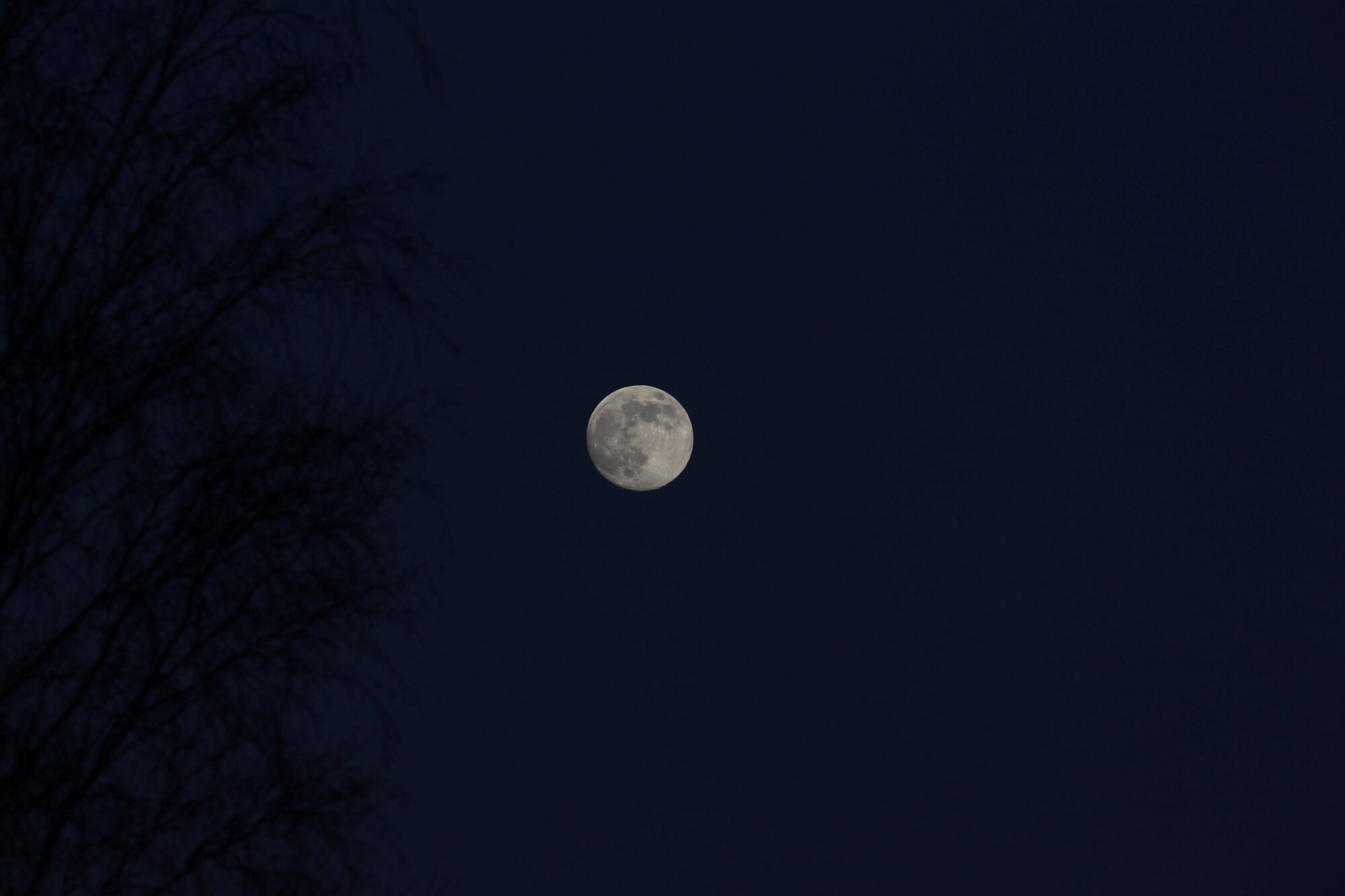 Valokuvaaja: Jaana Saarelainen