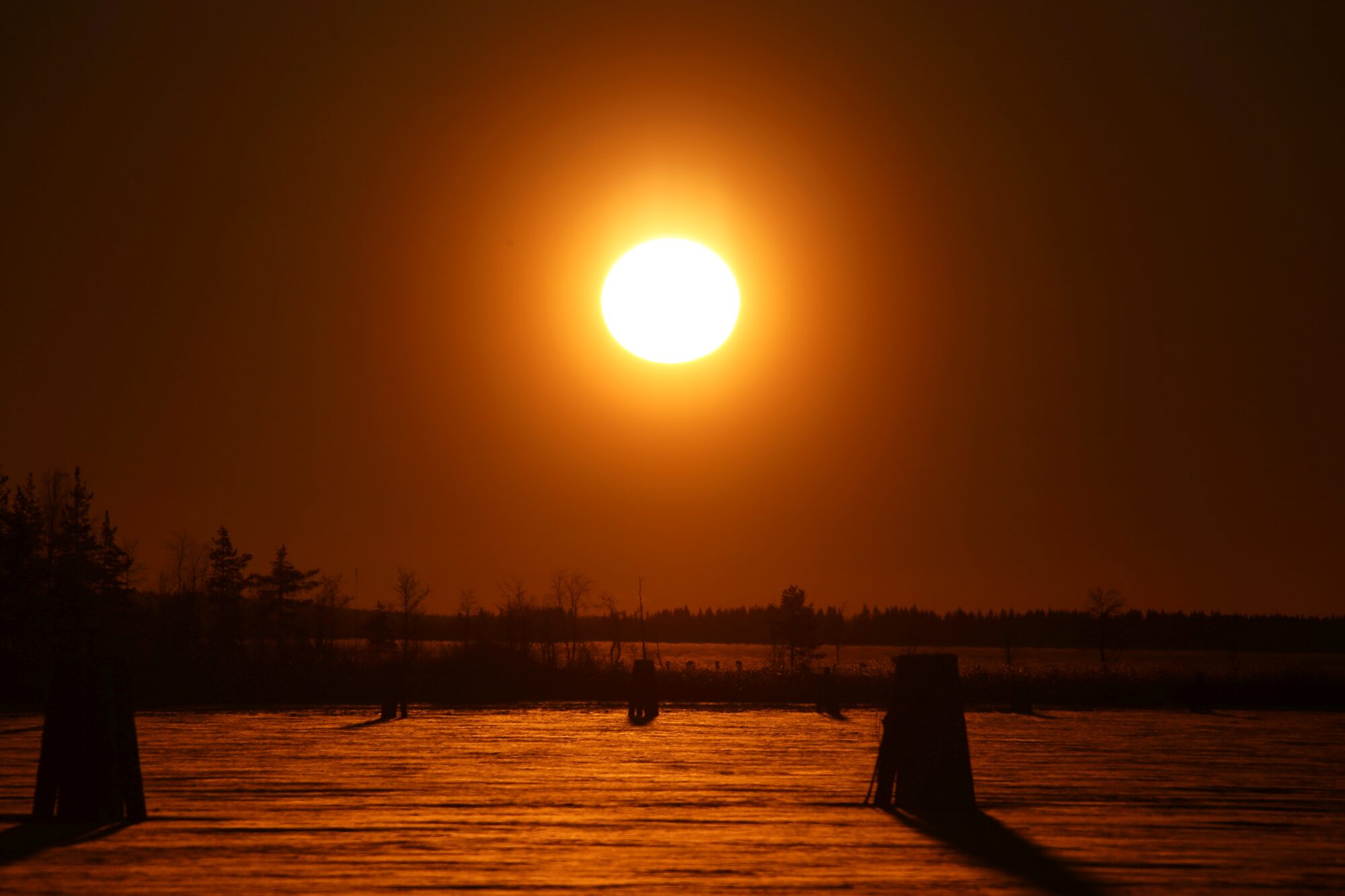 Valokuvaaja: Jaana Saarelainen Valokuvaaja: Jaana Saarelainen