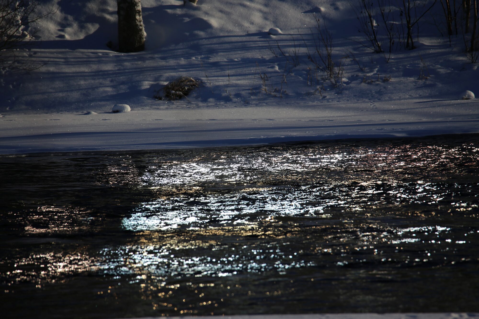 Valokuvaaja: Jaana Saarelainen