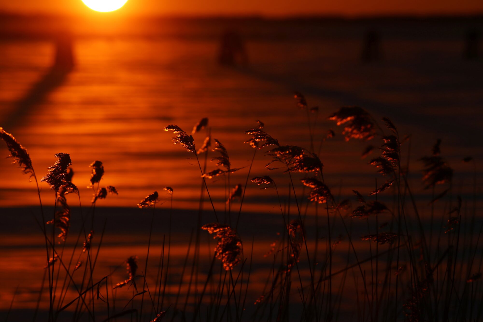 Valokuvaaja: Jaana Saarelainen
