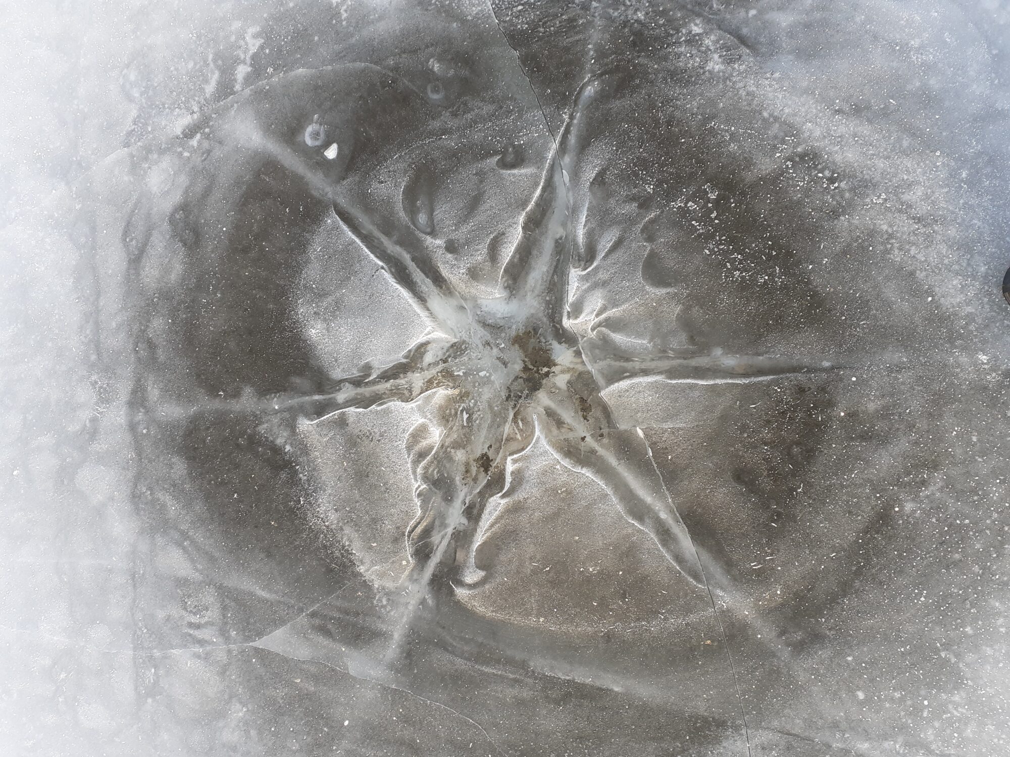 Valokuvaaja: Jari Utriainen