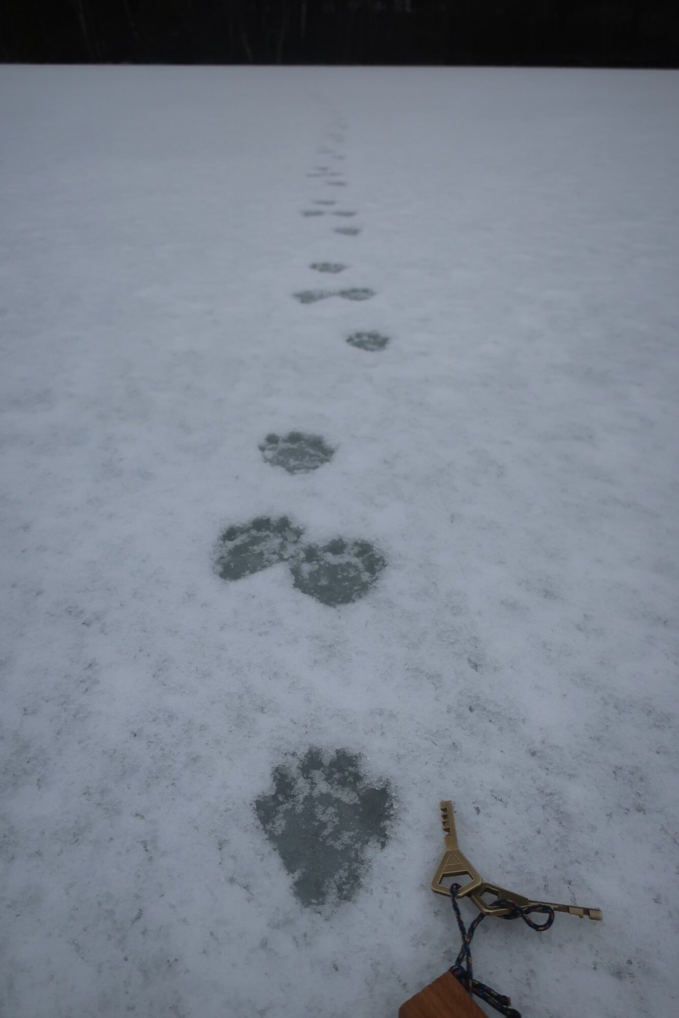 Valokuvaaja: Arja Pohto