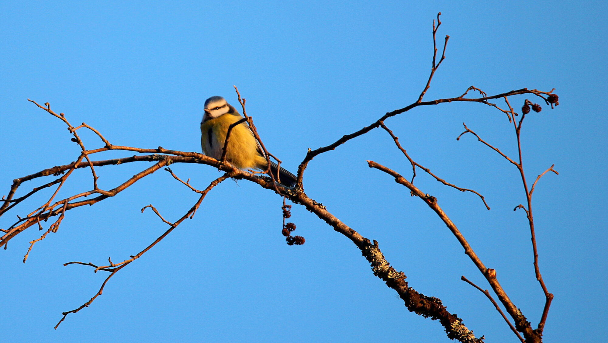 Valokuvaaja: sirpa Jyske