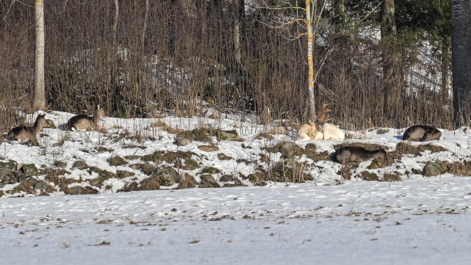 Valokuvaaja: Hannele Sartjärvi Valokuvaaja: Hannele Sartjärvi